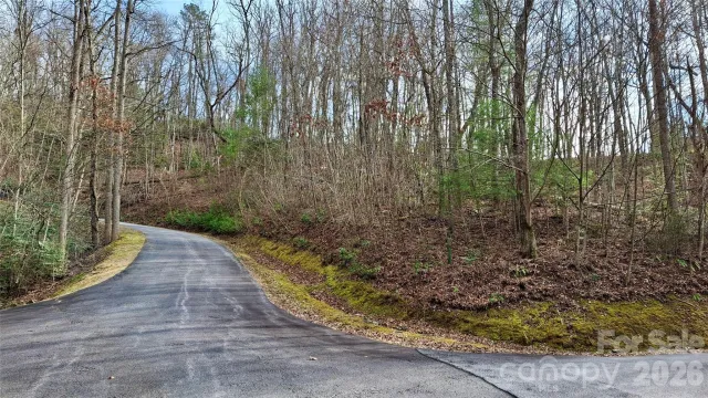 0 Hollywalk Trail, Sylva, NC, 28779