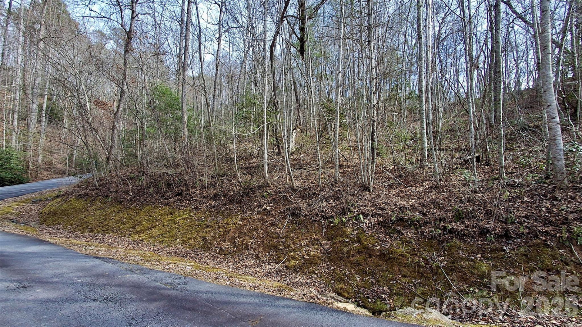 0 Hollywalk Trail #4 - Photo 2