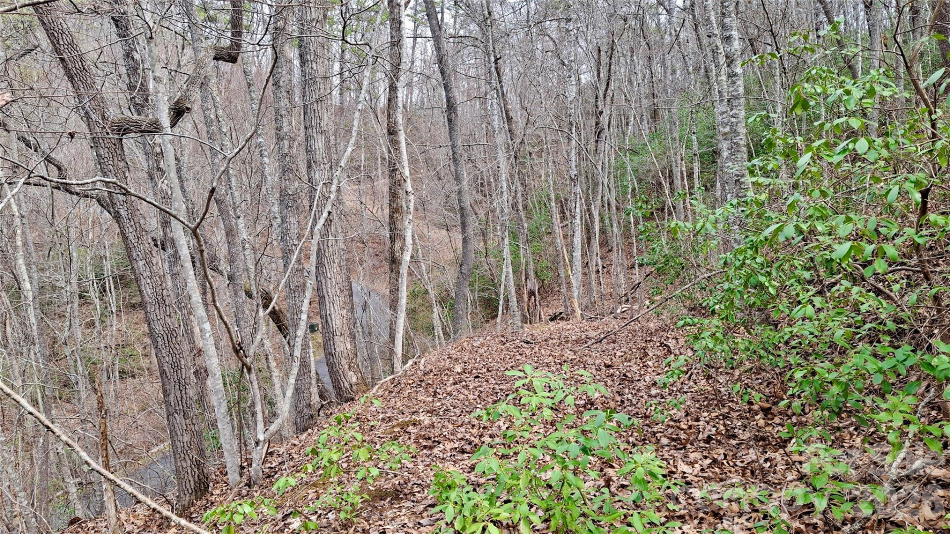 0 Hollywalk Trail #4 - Photo 11