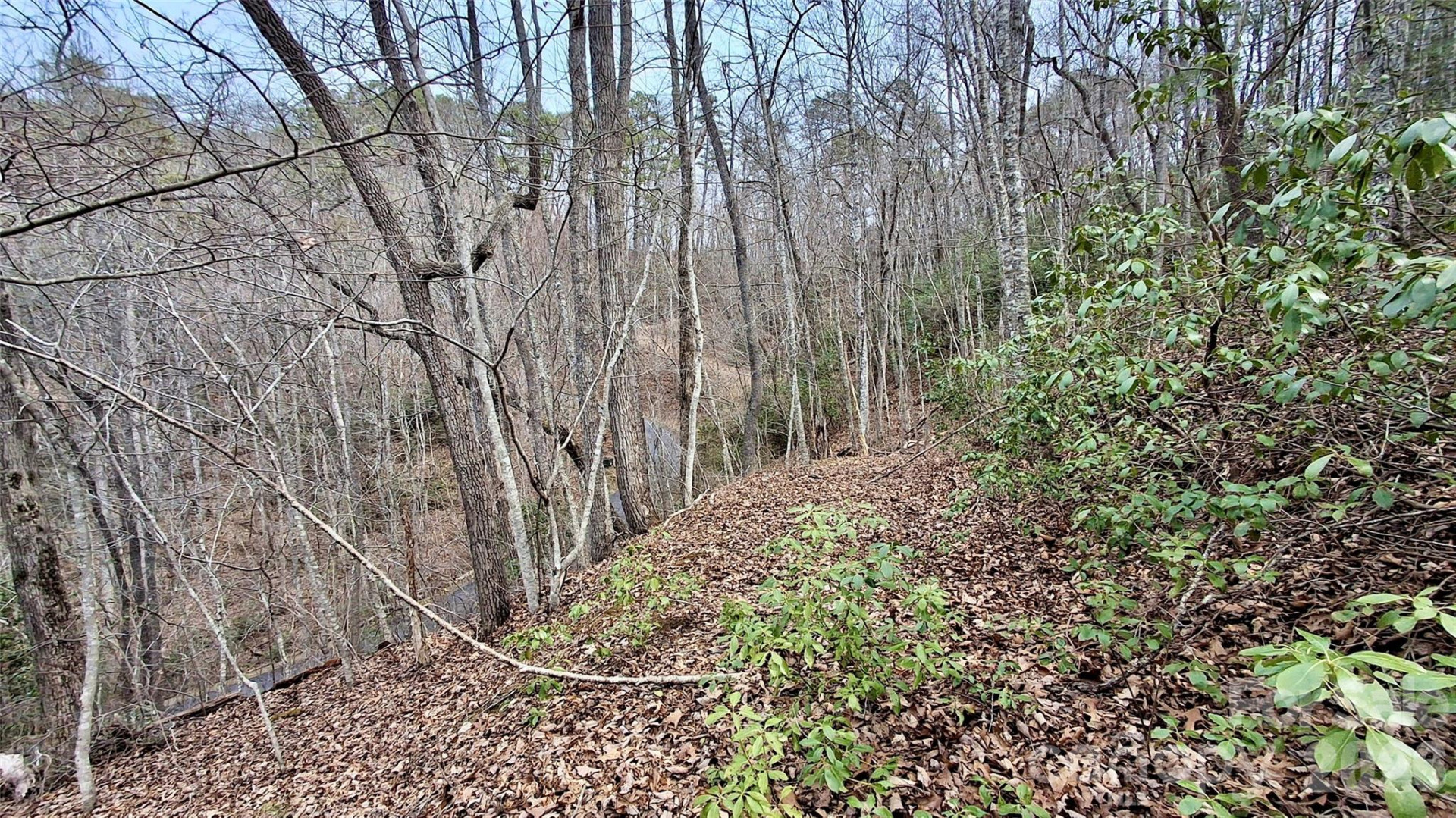 0 Hollywalk Trail #4 - Photo 12