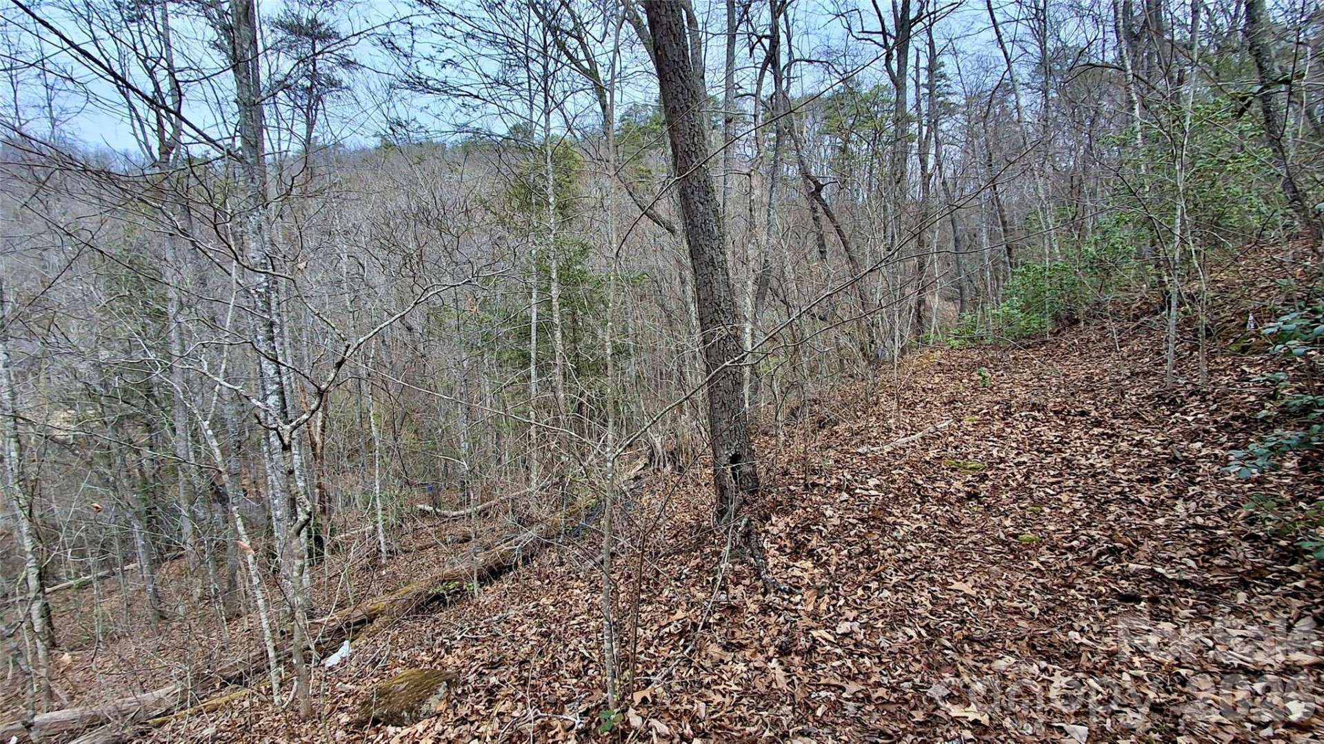 0 Hollywalk Trail #4 - Photo 13