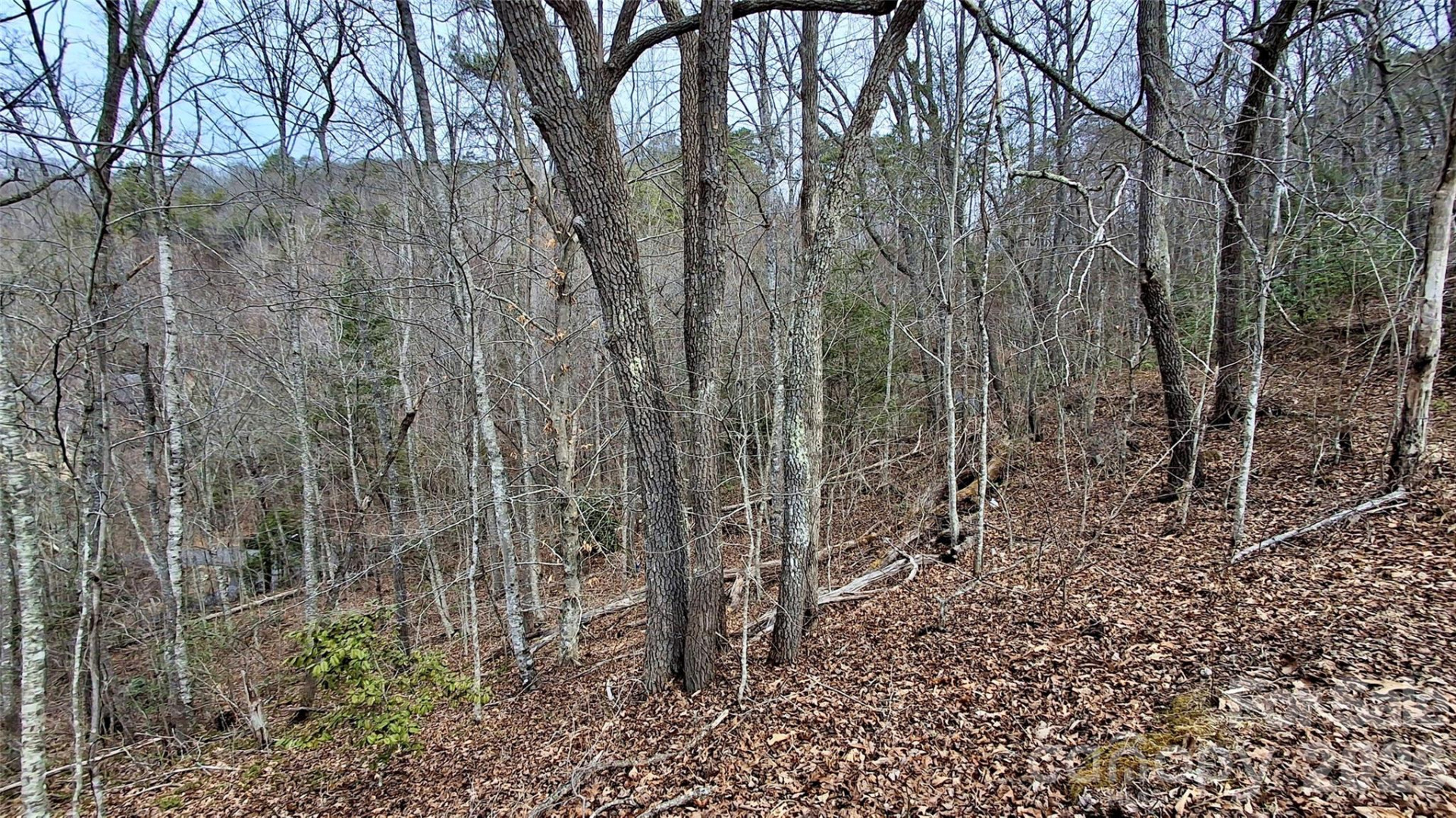 0 Hollywalk Trail #4 - Photo 14