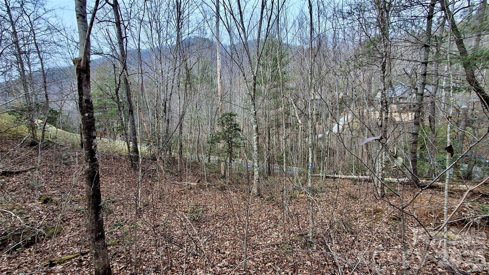 0 Hollywalk Trail #4 - Photo 17