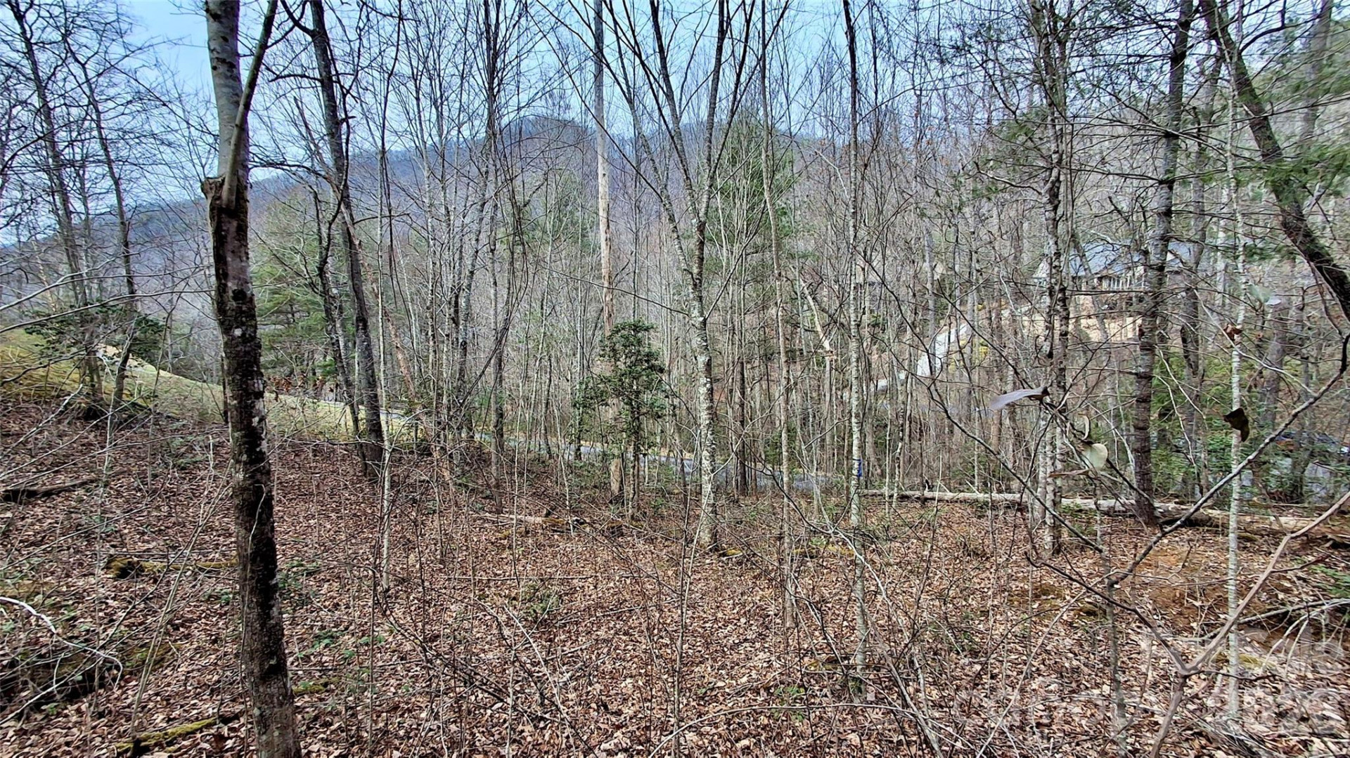 0 Hollywalk Trail #4 - Photo 18