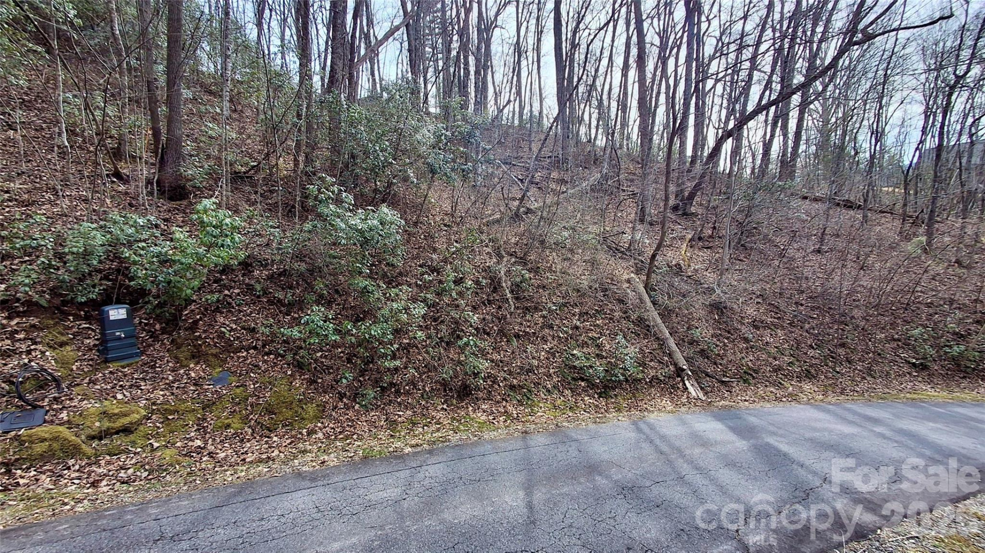 0 Hollywalk Trail #4 - Photo 19