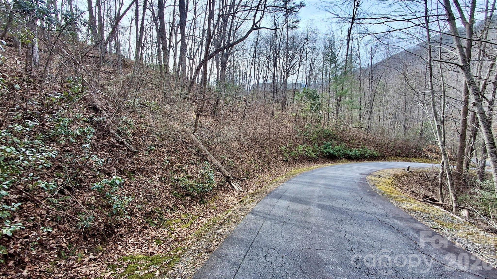 0 Hollywalk Trail #4 - Photo 4