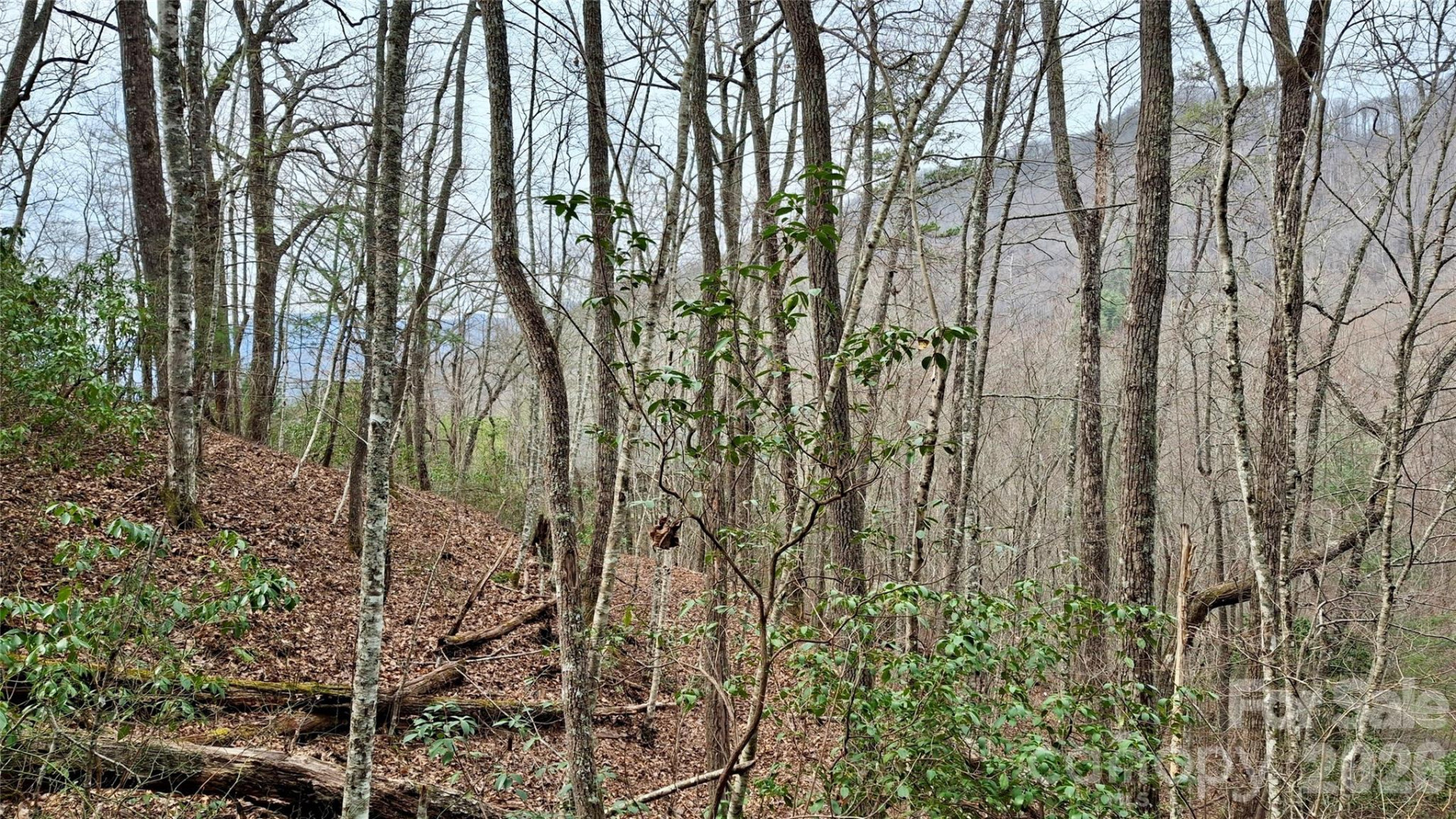 0 Hollywalk Trail #4 - Photo 5