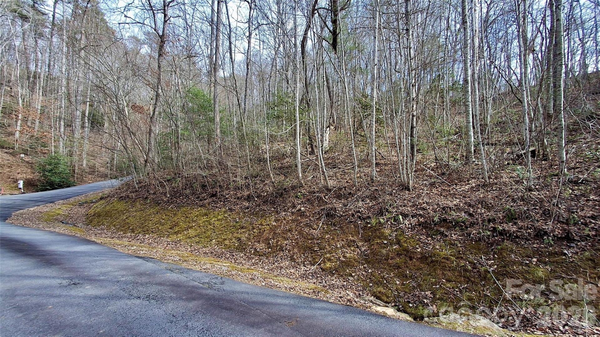 0 Hollywalk Trail #4 - Photo 6