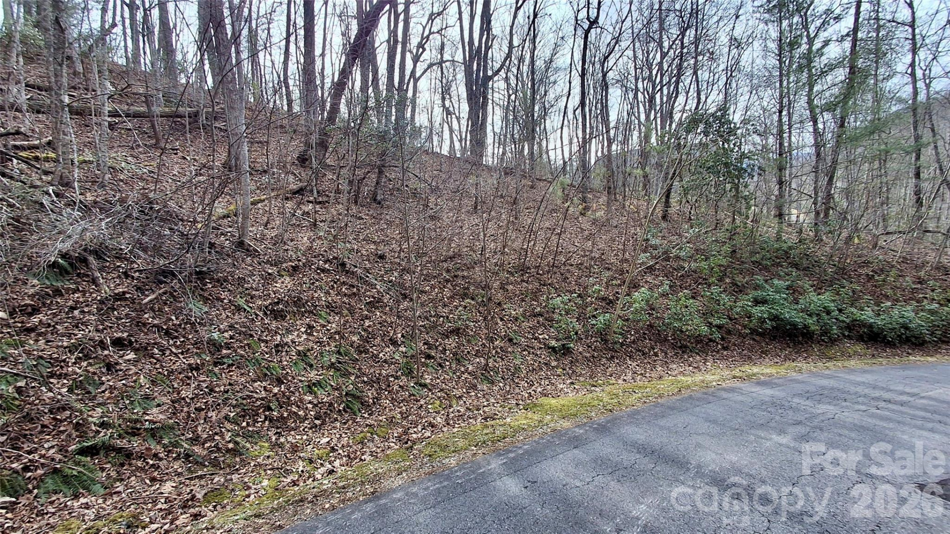 0 Hollywalk Trail #4 - Photo 7