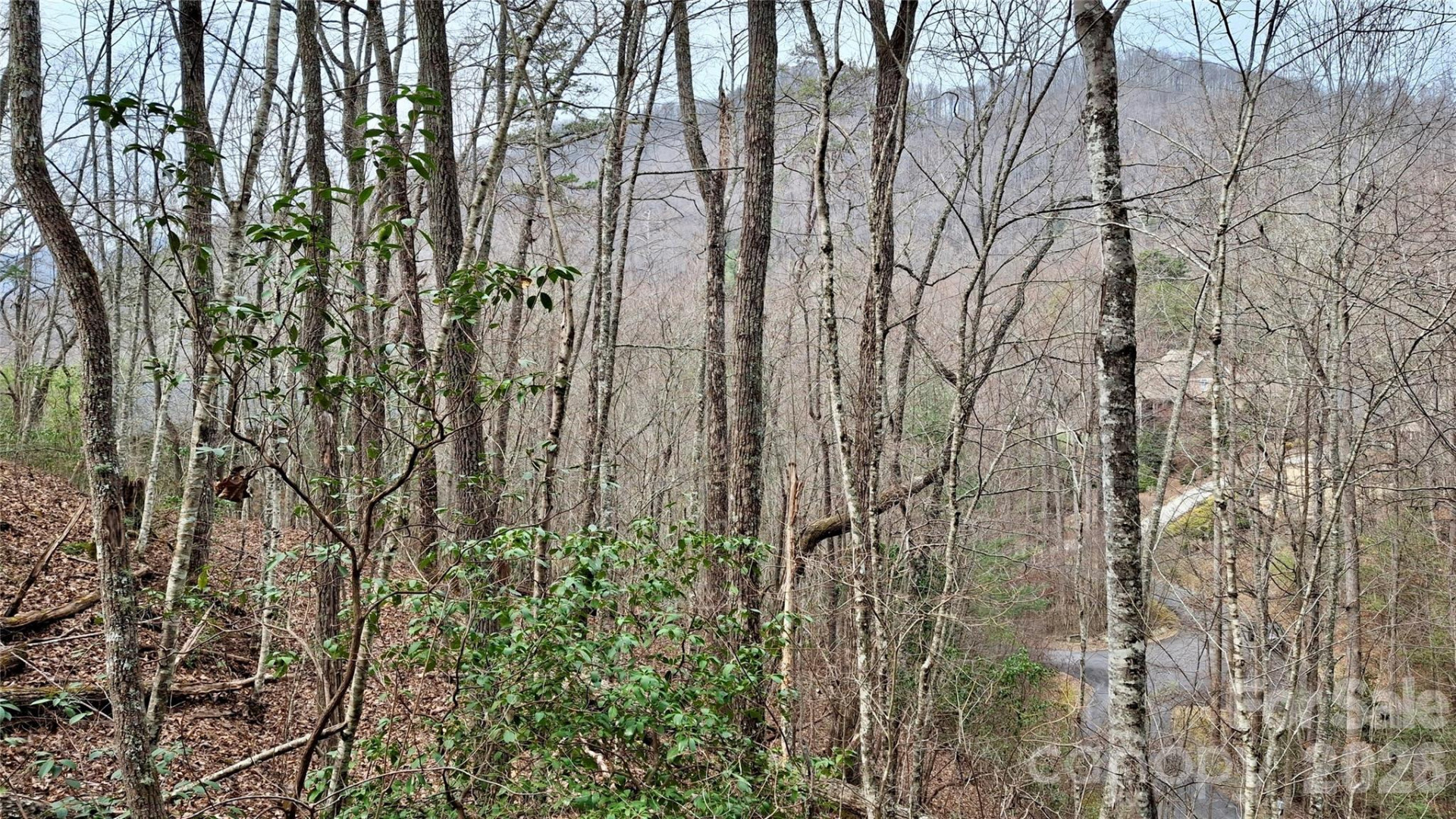 0 Hollywalk Trail #4 - Photo 8