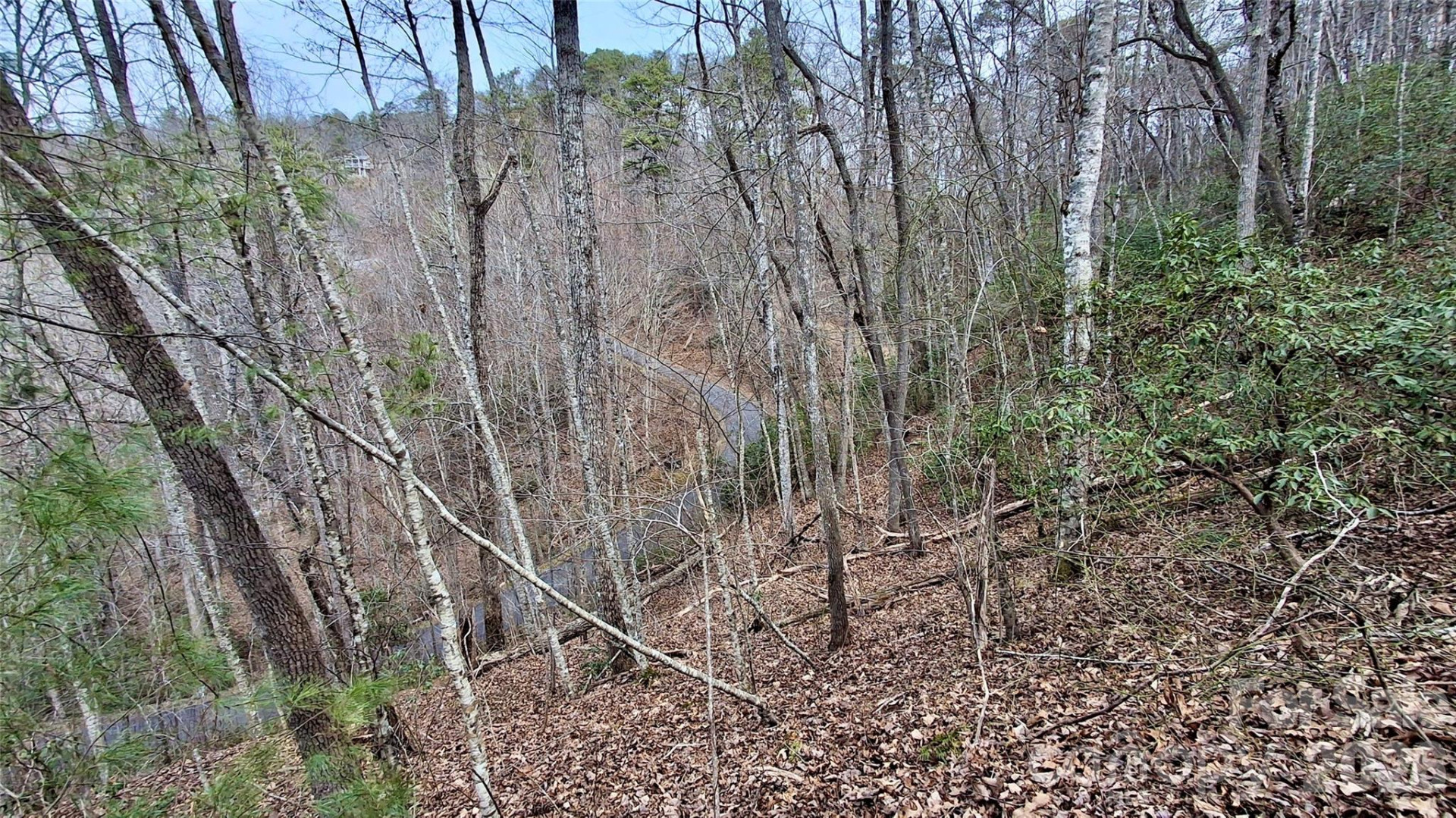 0 Hollywalk Trail #4 - Photo 9