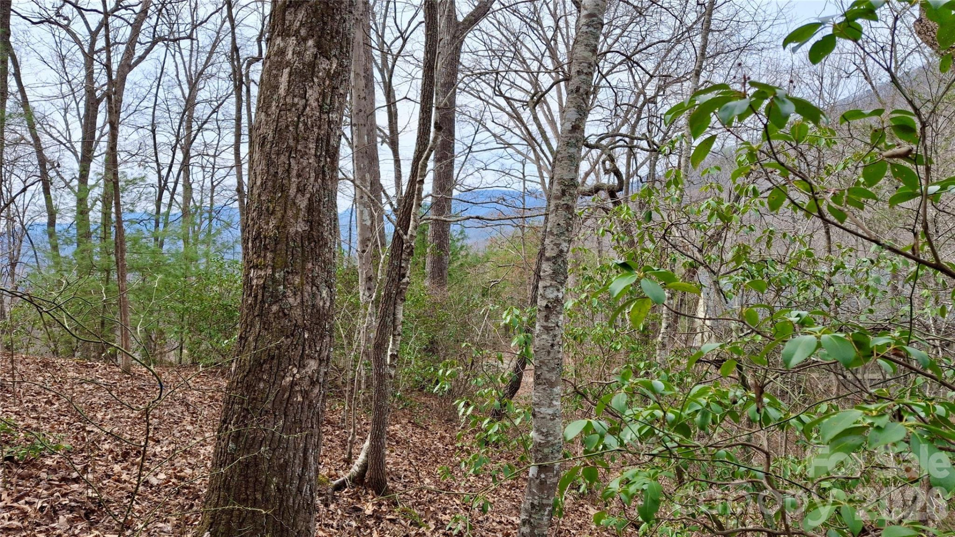 0 Hollywalk Trail #4 - Photo 10