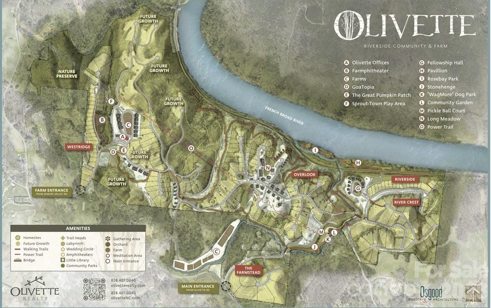 13 Tulip Poplar Trail - Photo 39