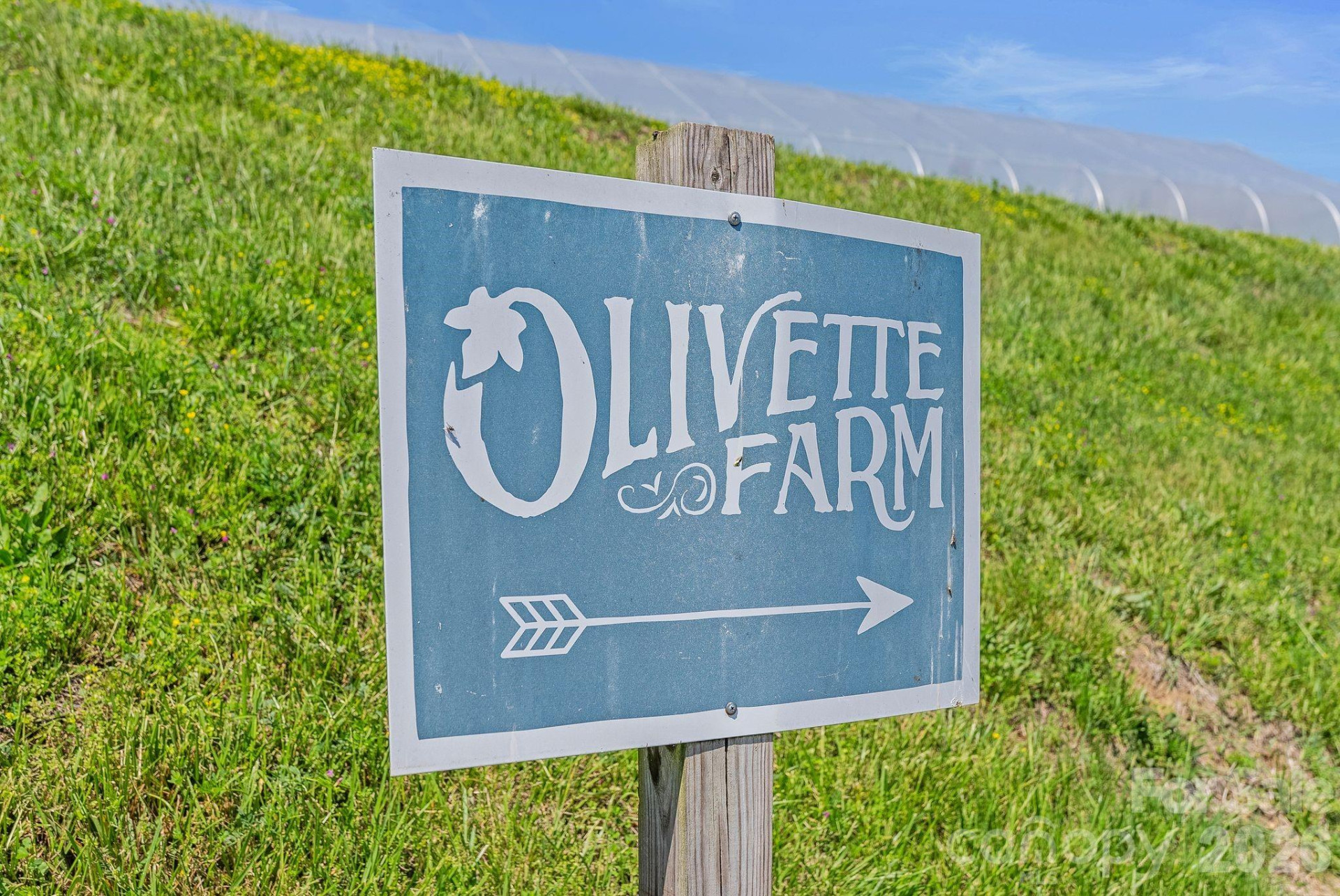 13 Tulip Poplar Trail - Photo 40