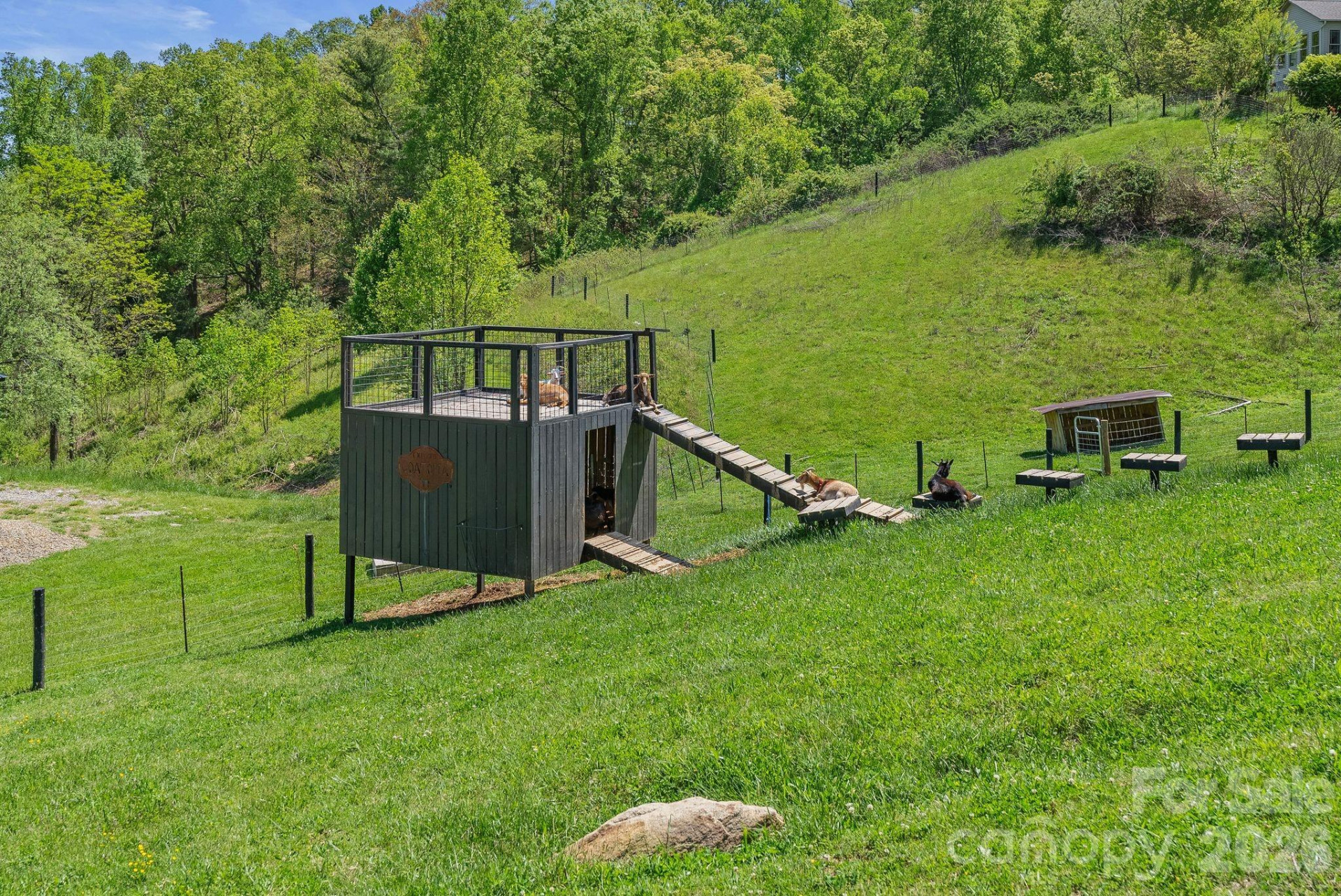 13 Tulip Poplar Trail - Photo 42