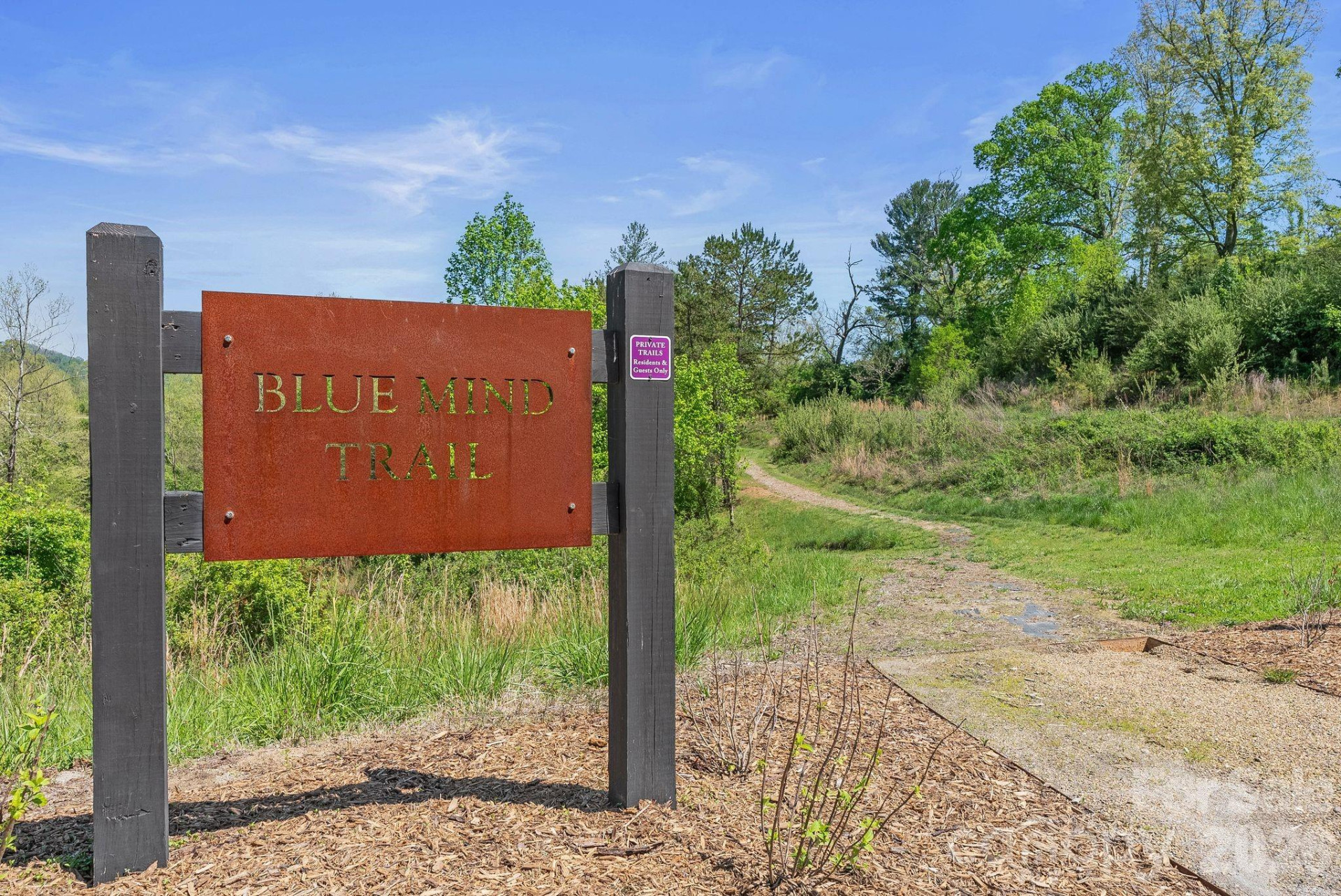 13 Tulip Poplar Trail - Photo 43