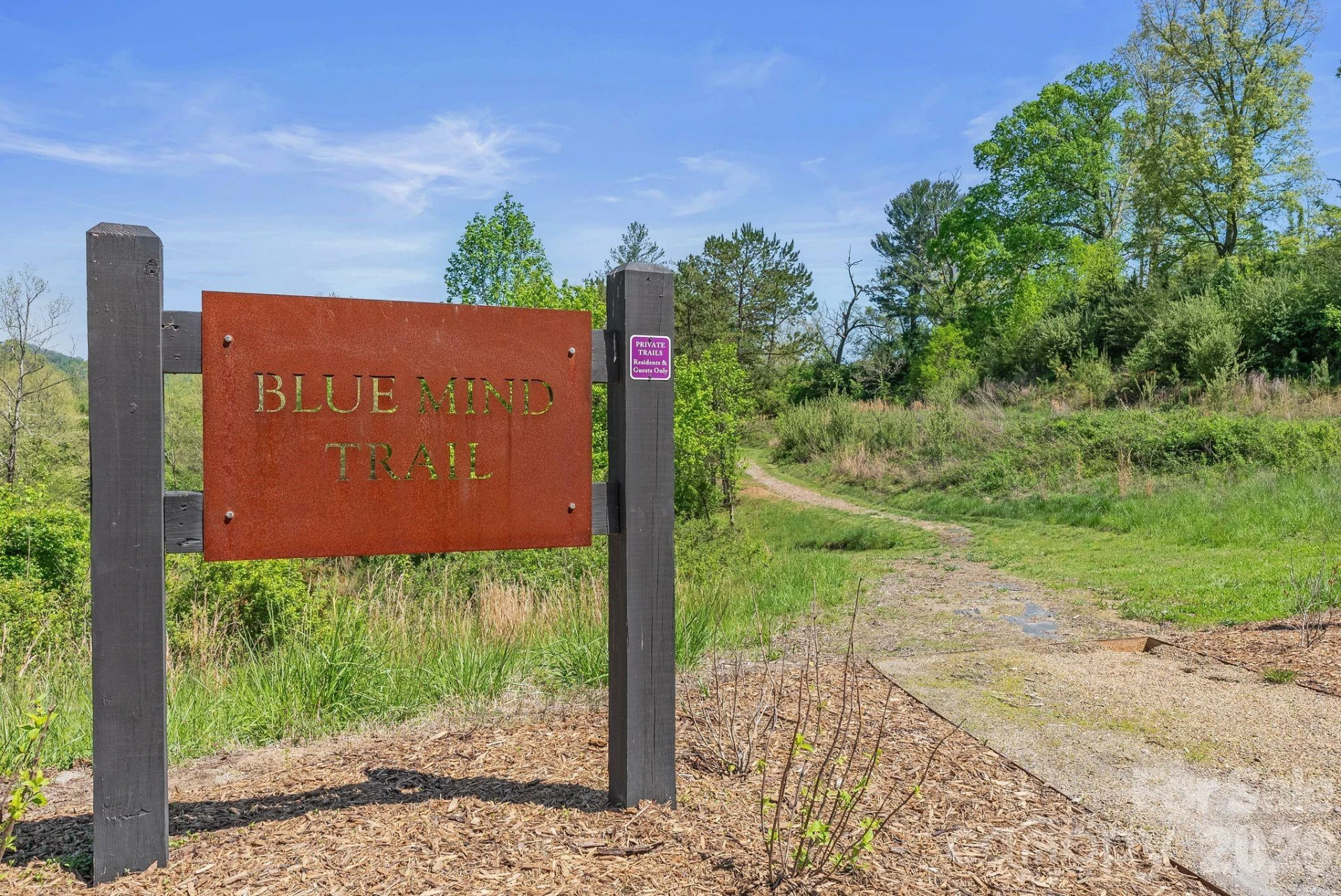 13 Tulip Poplar Trail - Photo 43