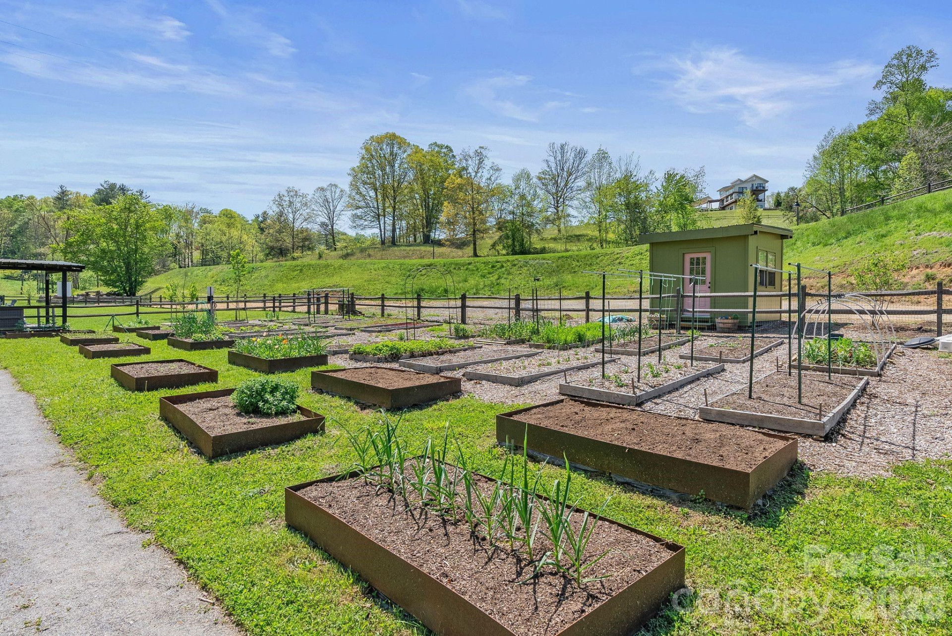 13 Tulip Poplar Trail - Photo 44