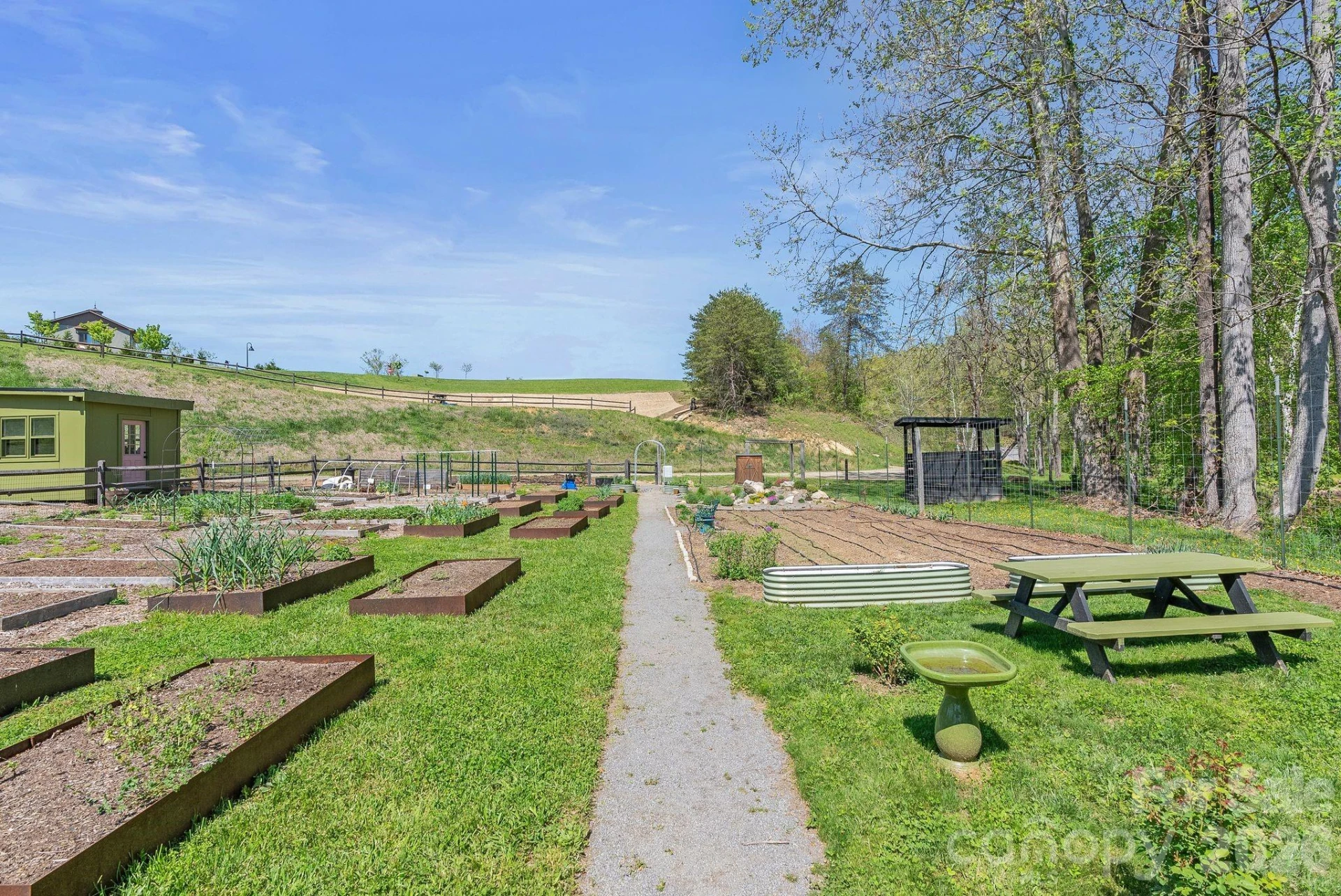 13 Tulip Poplar Trail - Photo 45