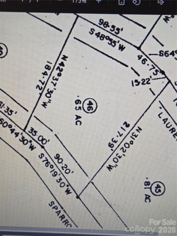 0 Sparrows Way, Lake Lure, NC, 28746