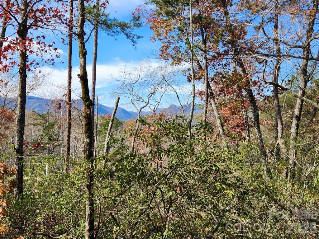 0 Sparrows Way #46 - Photo 3