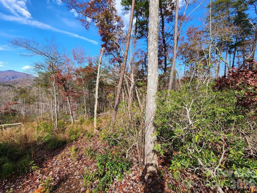 0 Sparrows Way #46 - Photo 4