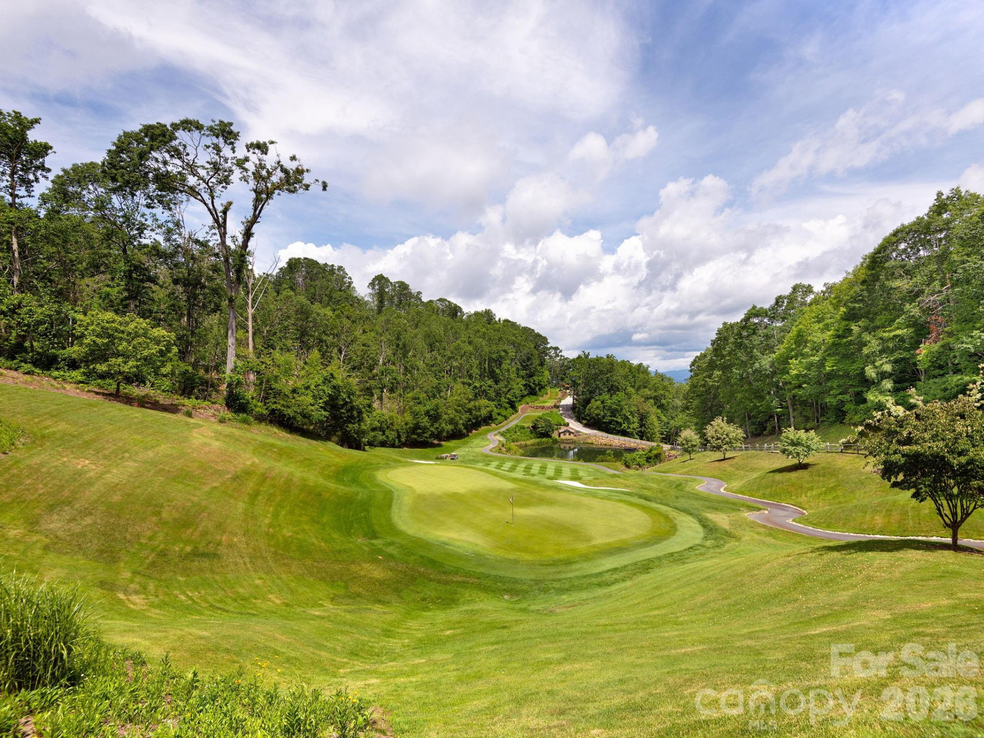 37 Grinnin Sun Road - Photo 28