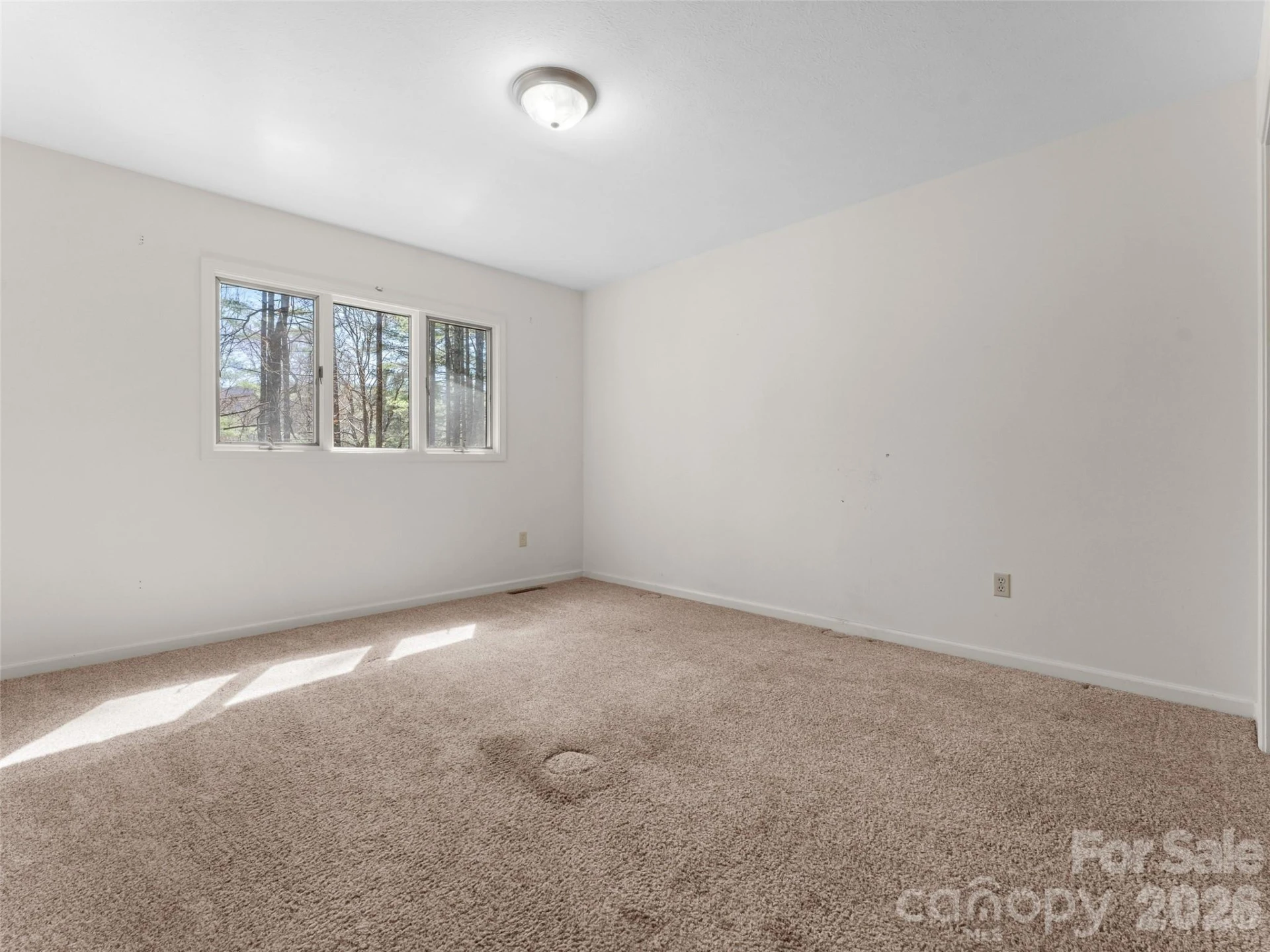 205 Deerpath Lane - Photo 33