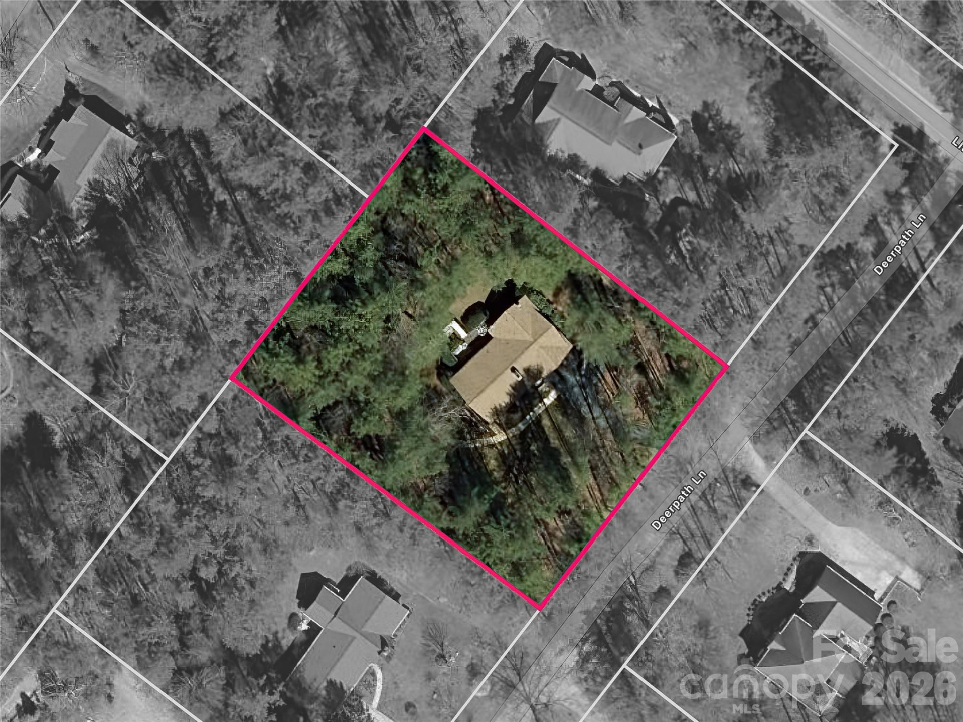 205 Deerpath Lane - Photo 48