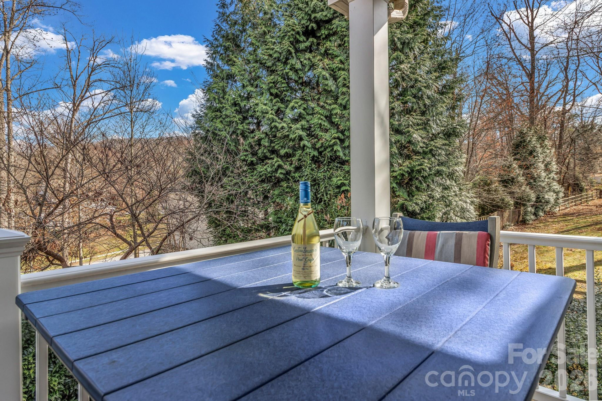 12 Hoolet Court - Photo 41