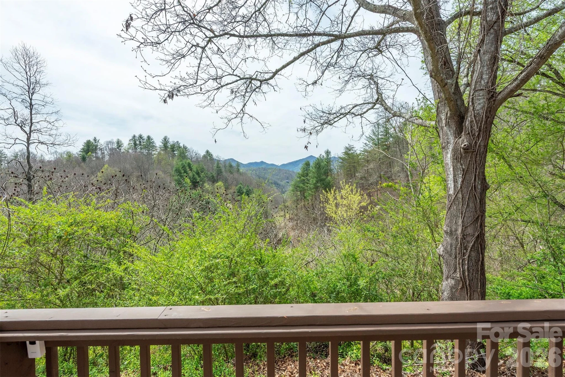 1274 Little Pine Road - Photo 4