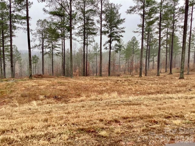 1838 Jumping Run, Connelly Springs, NC, 28612