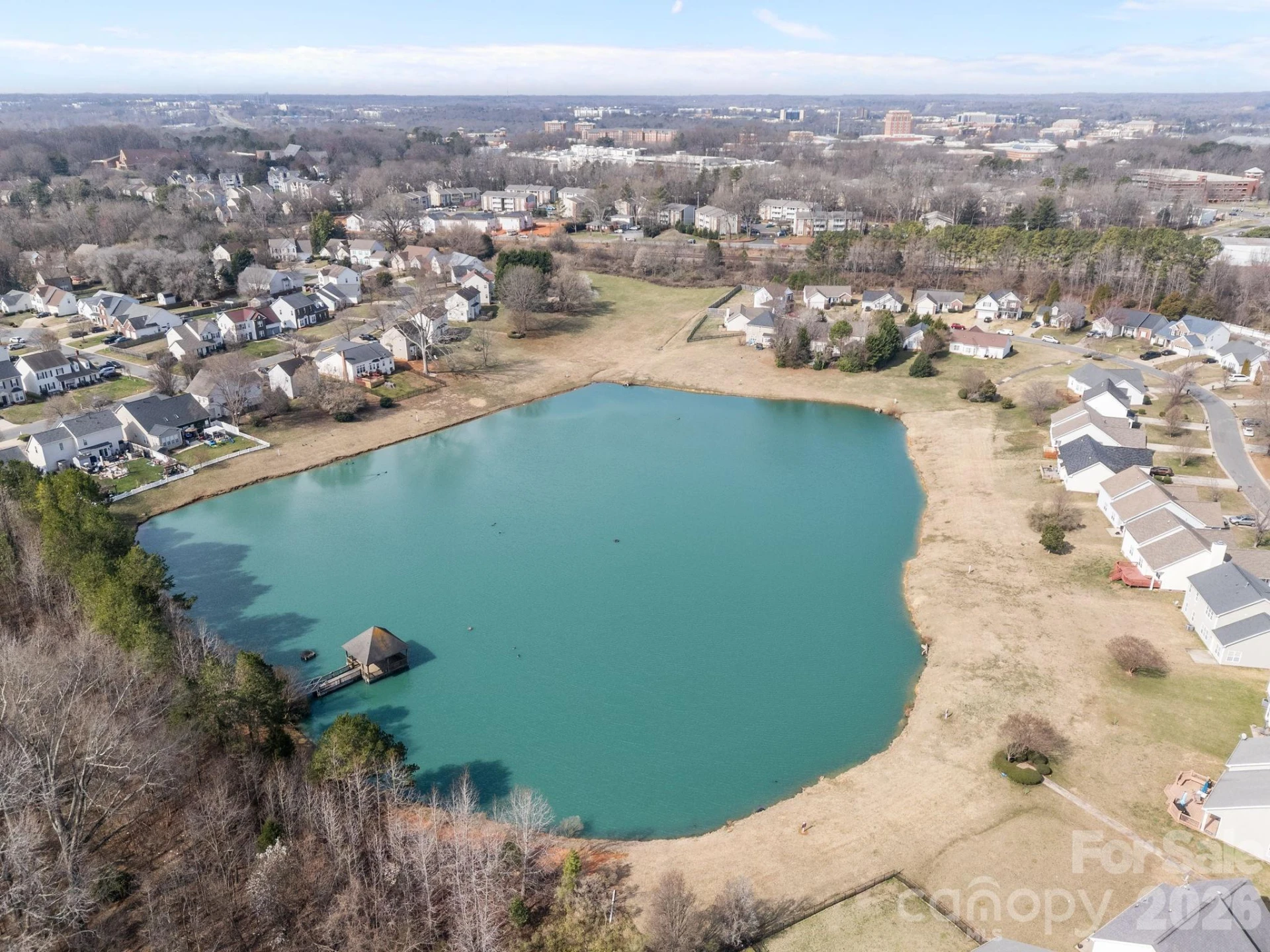 11138 Derryrush Drive - Photo 43
