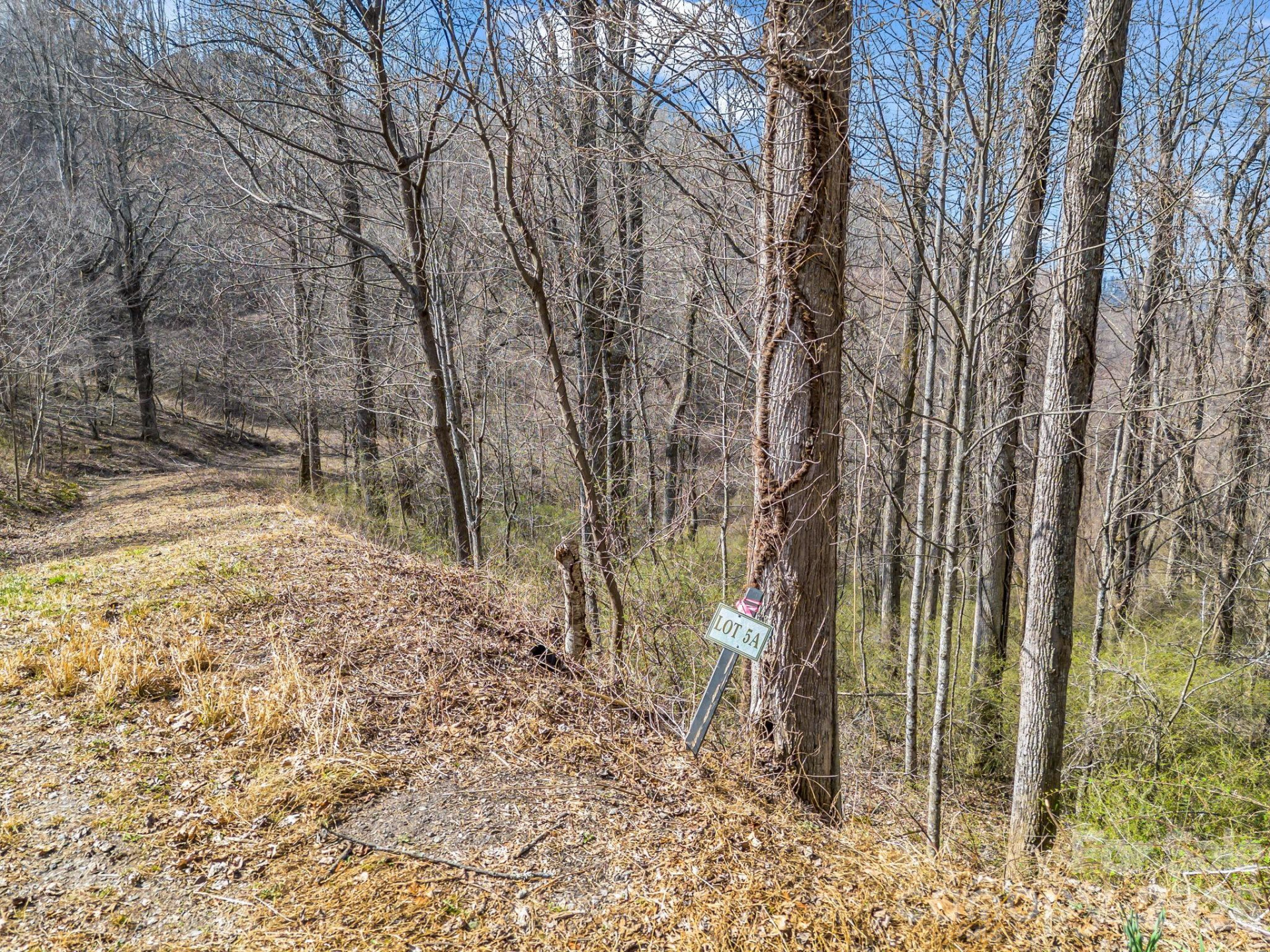 99999 Rose Hill Road - Photo 15