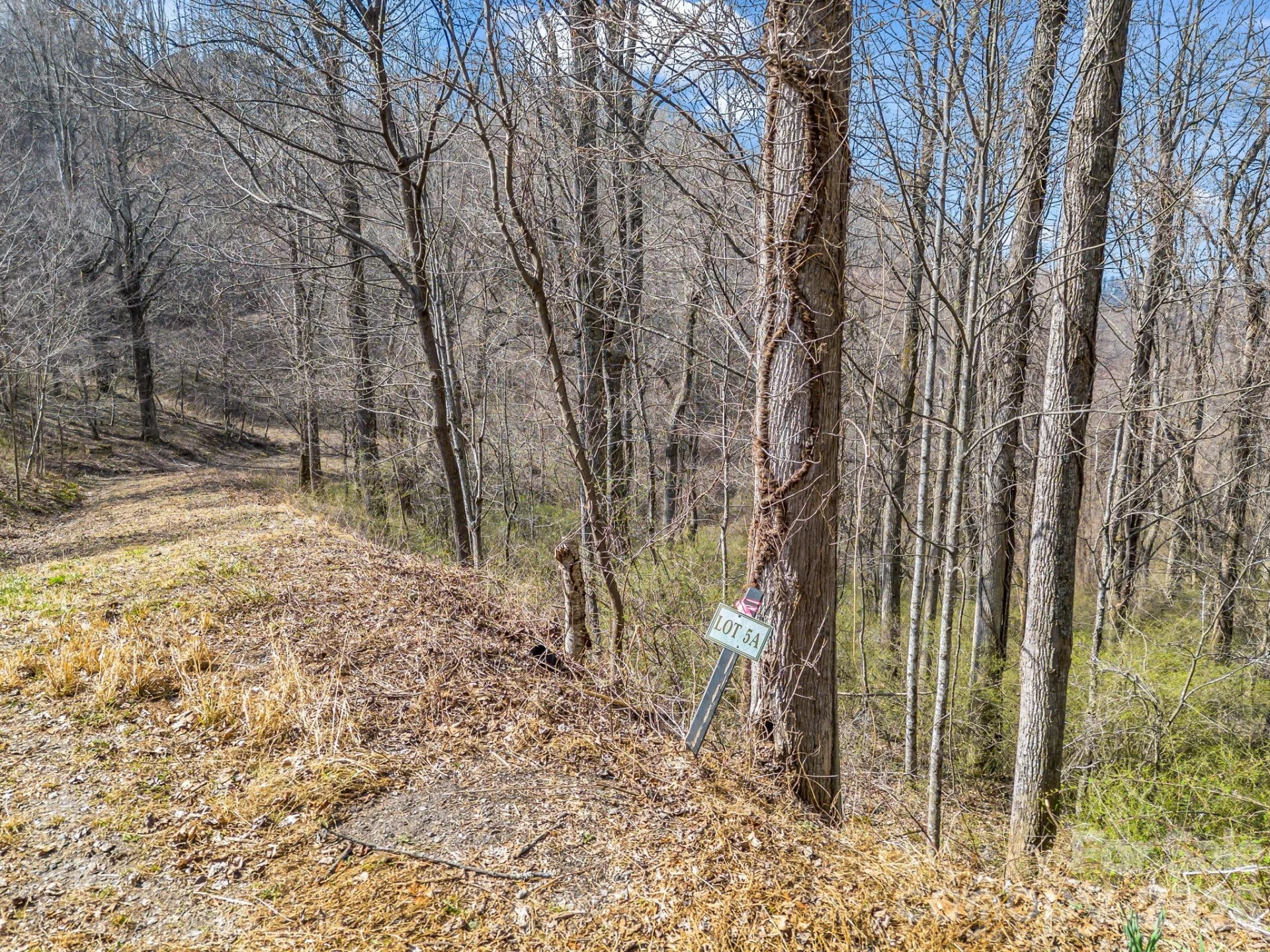 99999 Rose Hill Road - Photo 15