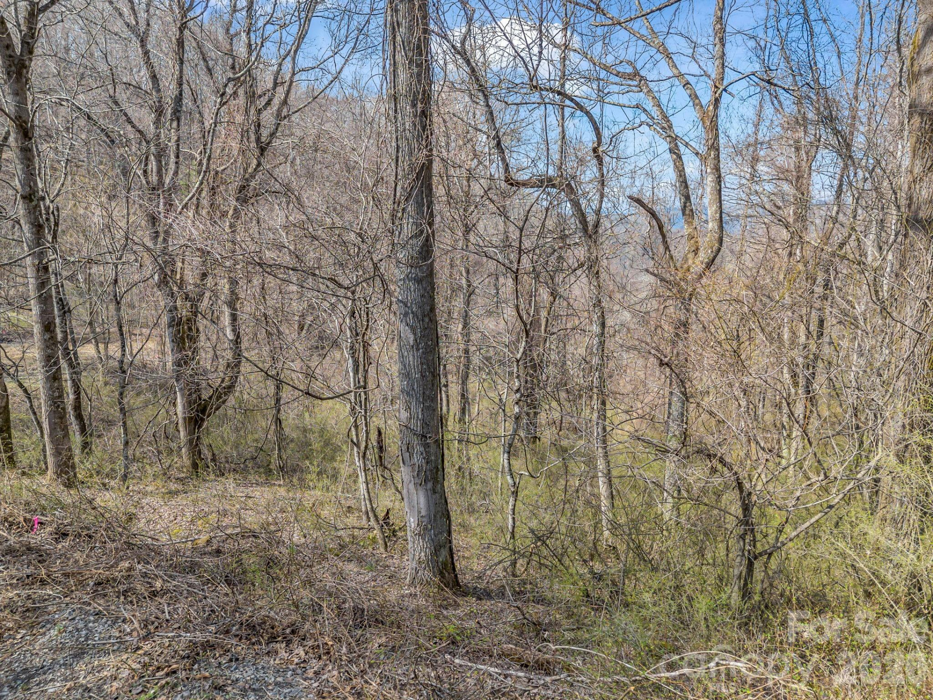 99999 Rose Hill Road - Photo 16