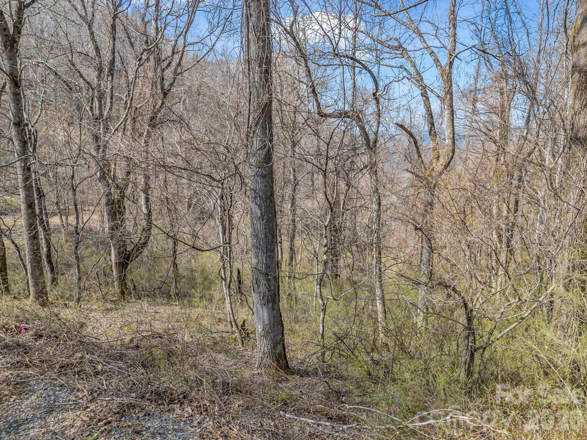 99999 Rose Hill Road - Photo 16