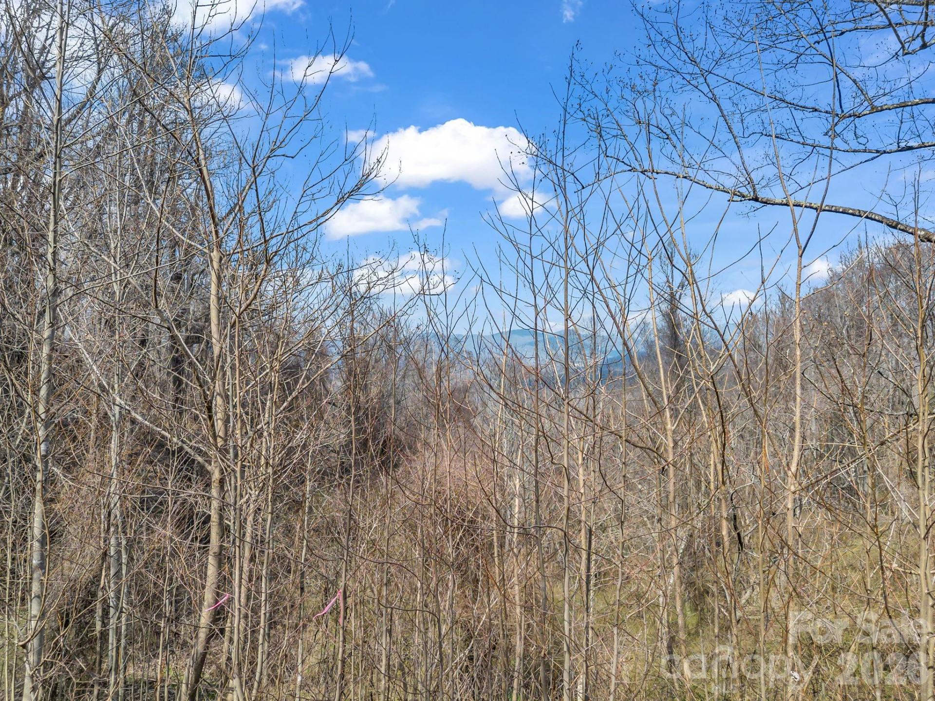 99999 Rose Hill Road - Photo 19