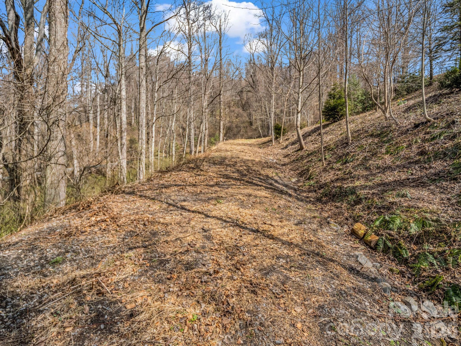 99999 Rose Hill Road - Photo 21