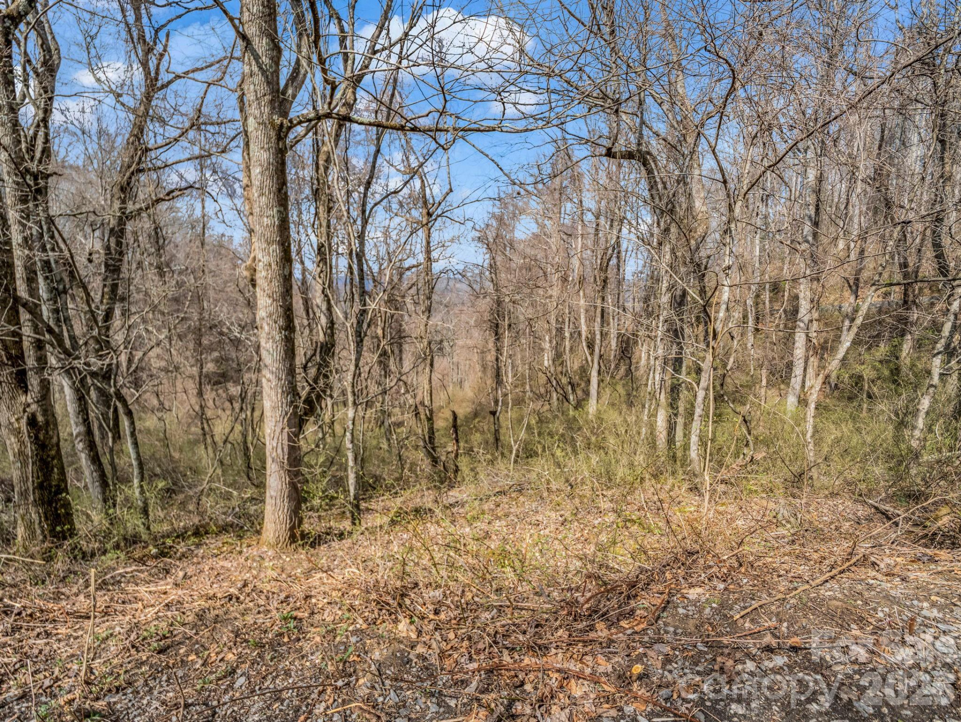 99999 Rose Hill Road - Photo 22