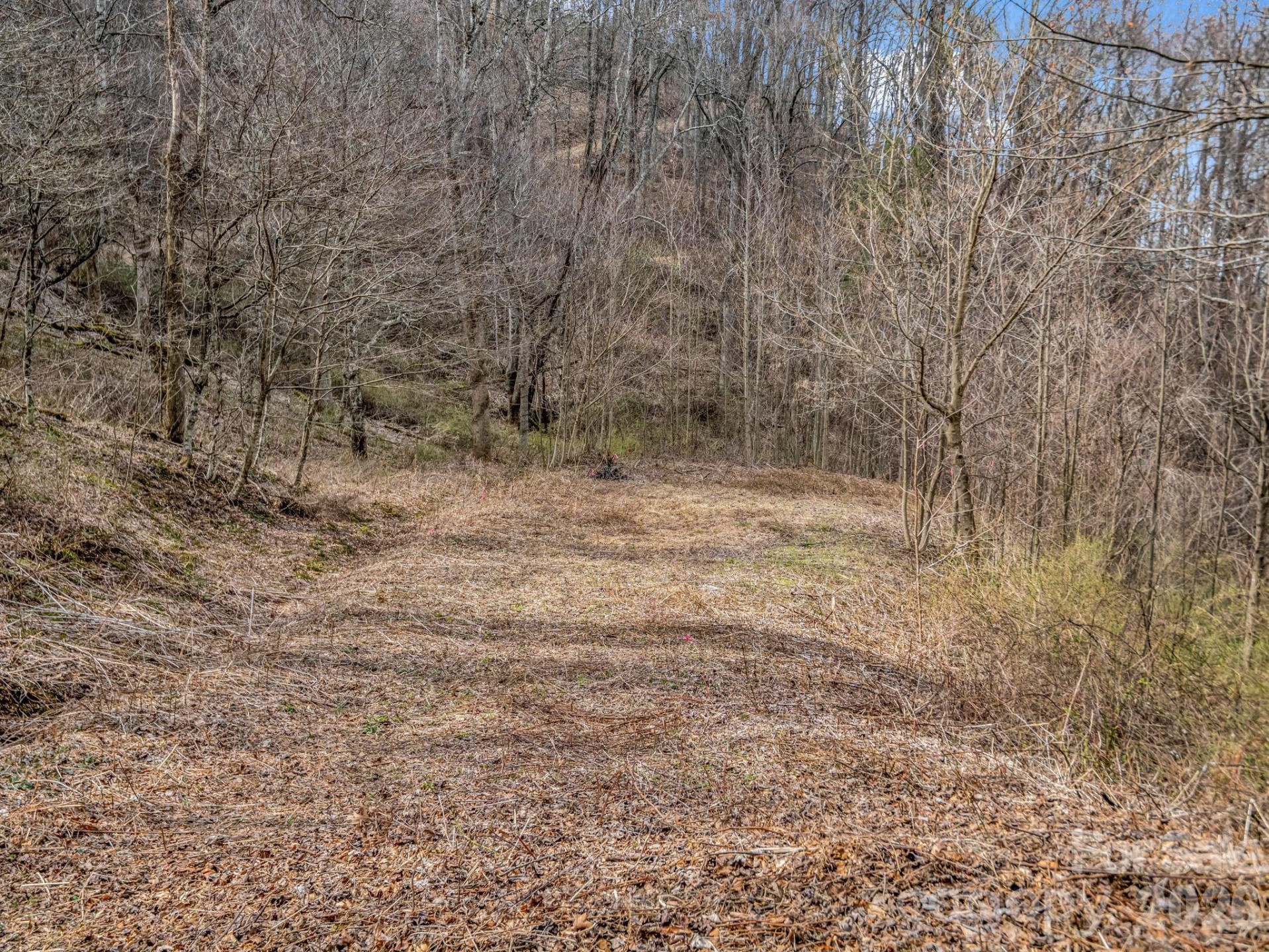 99999 Rose Hill Road - Photo 24