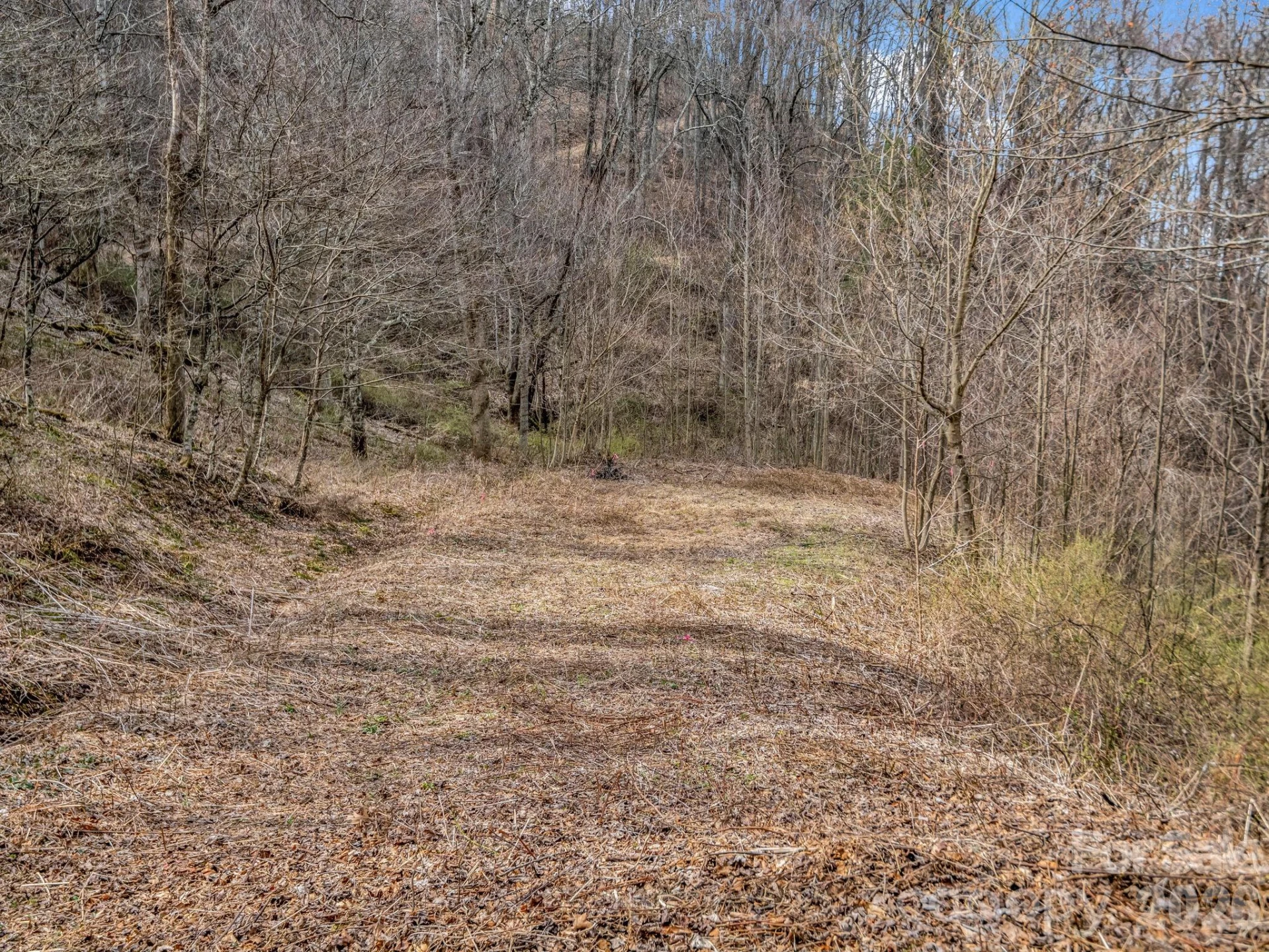 99999 Rose Hill Road - Photo 24
