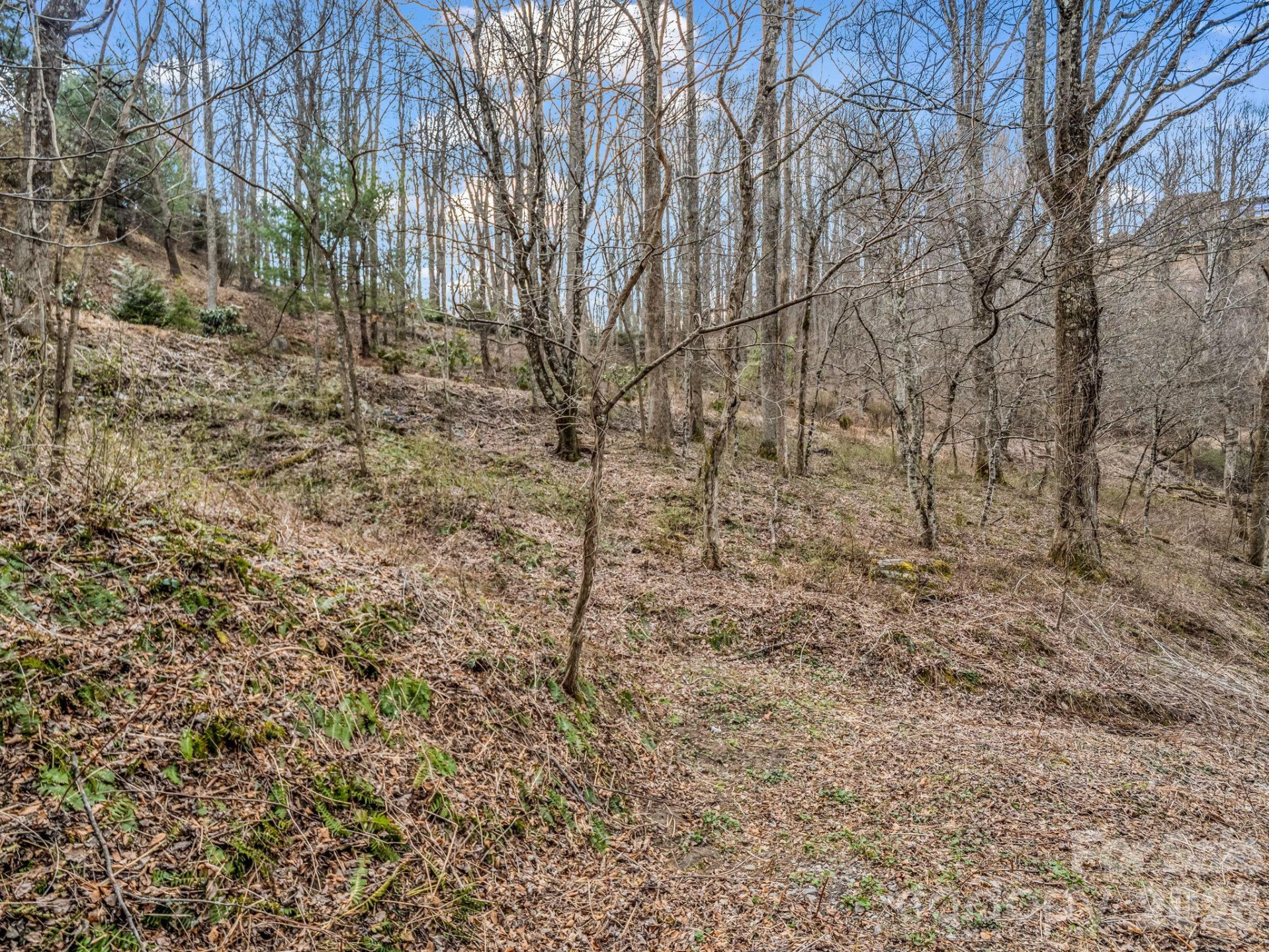 99999 Rose Hill Road - Photo 25