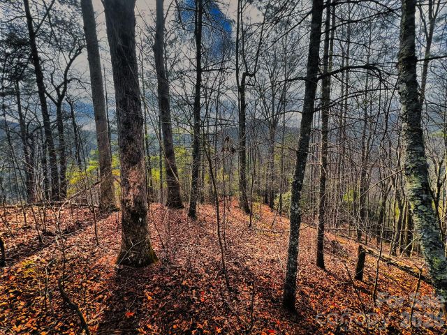 232 Thorncliff Road, Marshall, NC, 28753