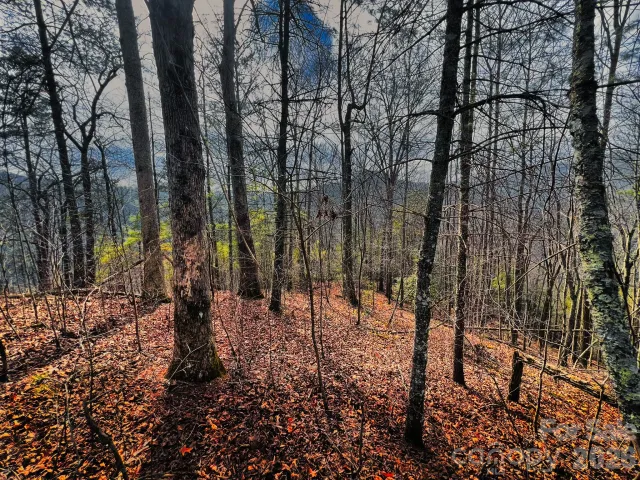 232 Thorncliff Road, Marshall, NC, 28753