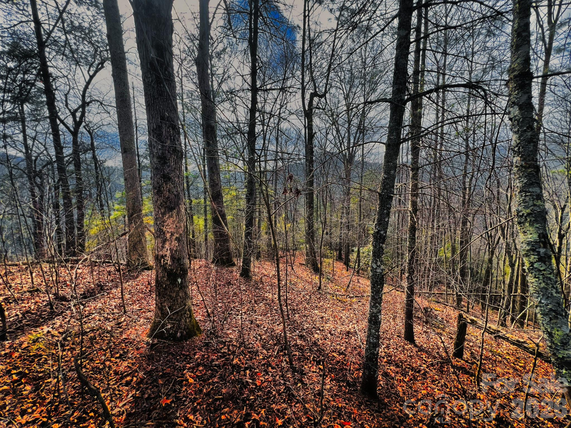 232 Thorncliff Road #82