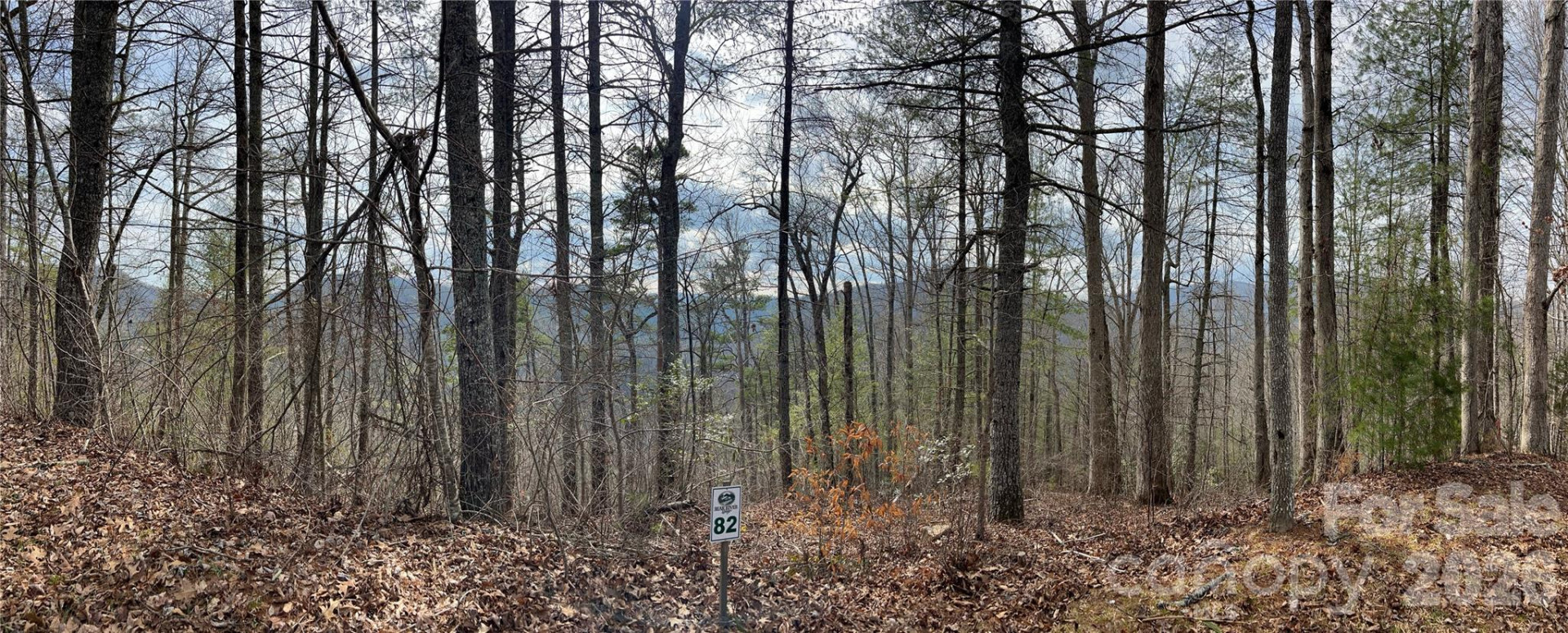 232 Thorncliff Road #82 - Photo 3