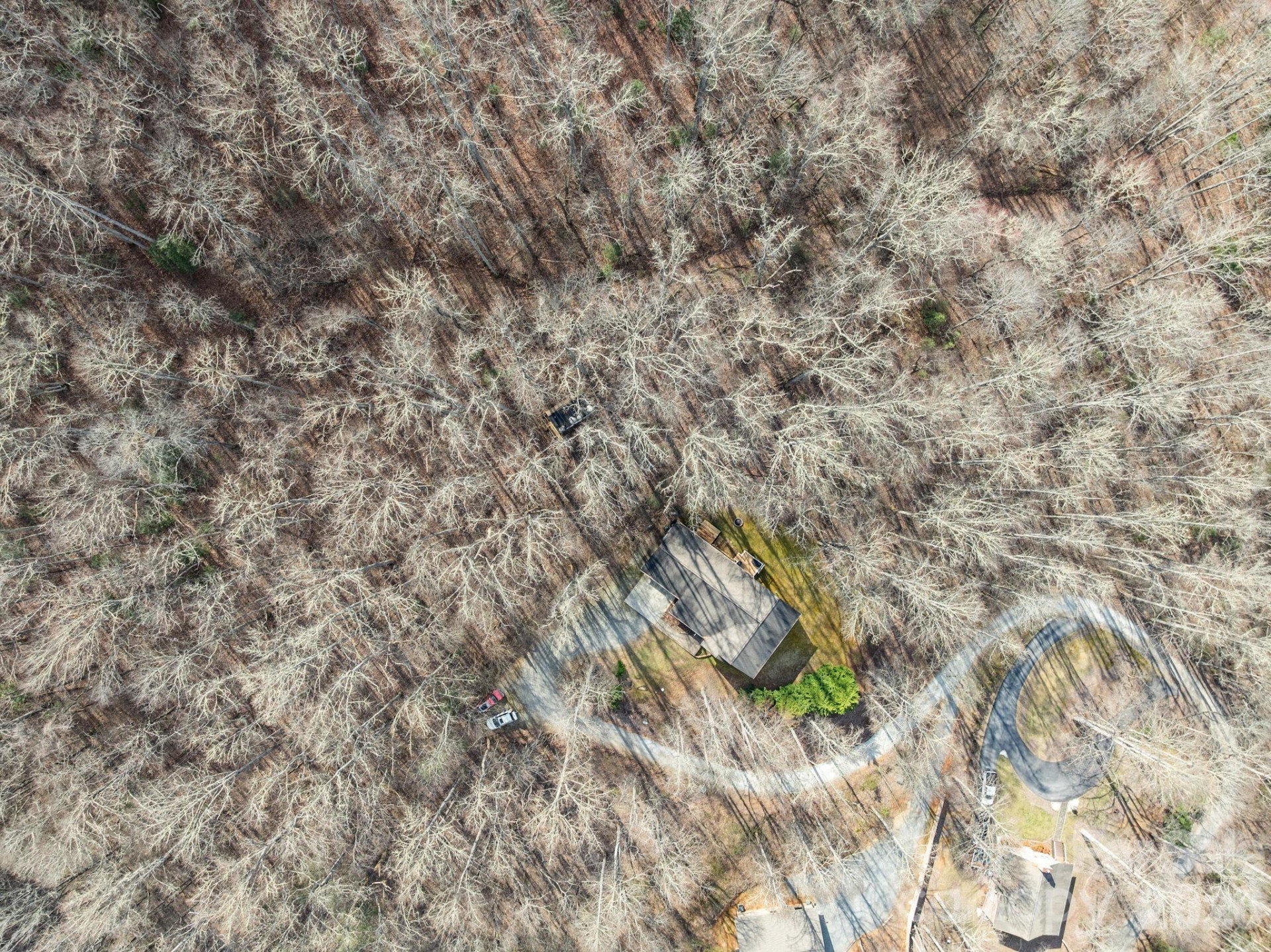 400 Honey Locust Trail - Photo 37