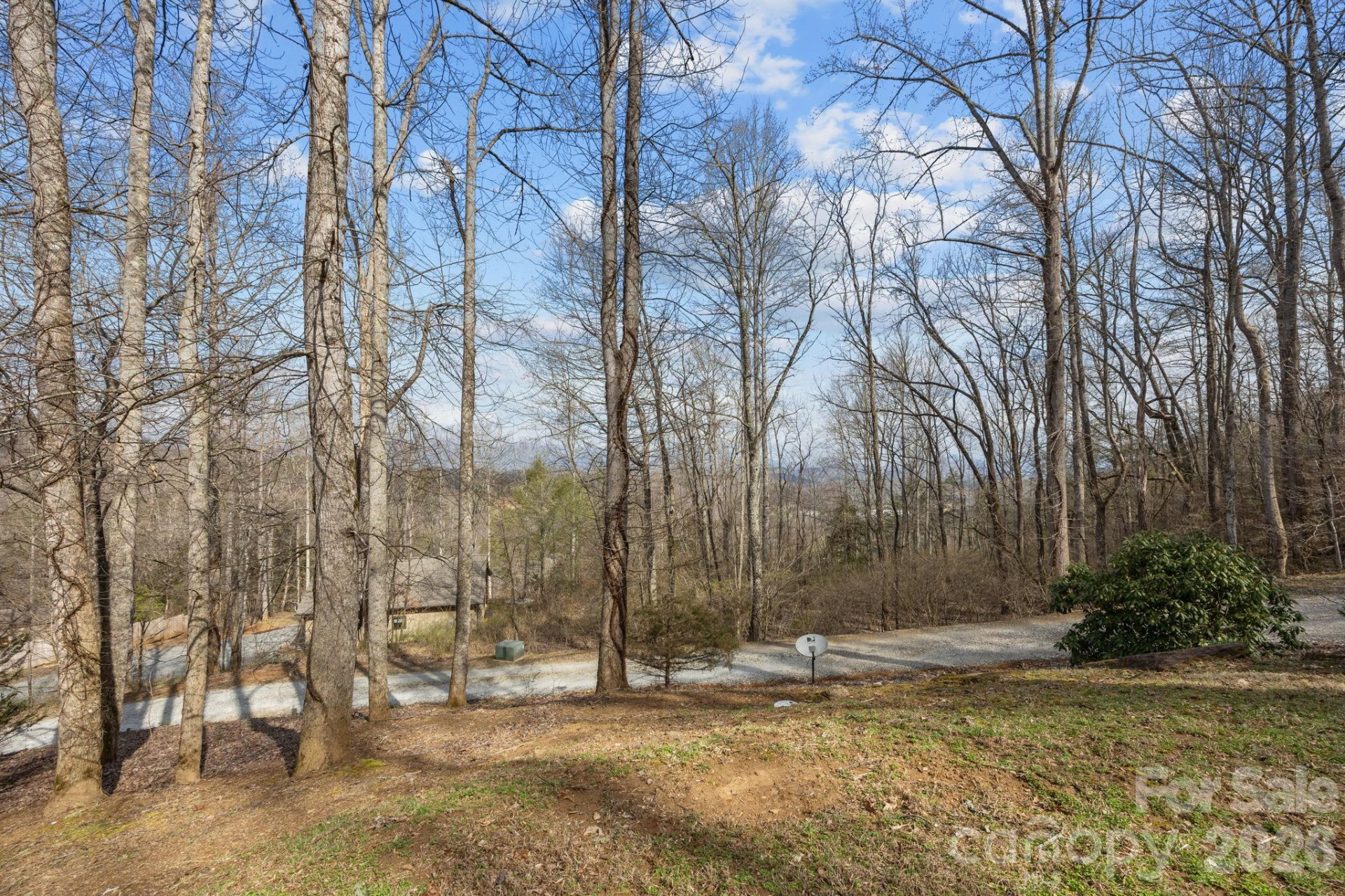 400 Honey Locust Trail - Photo 6