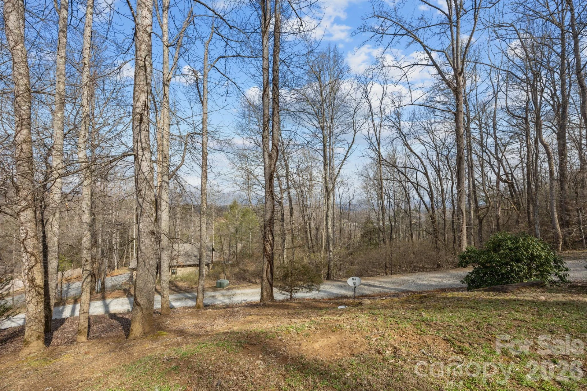400 Honey Locust Trail - Photo 4